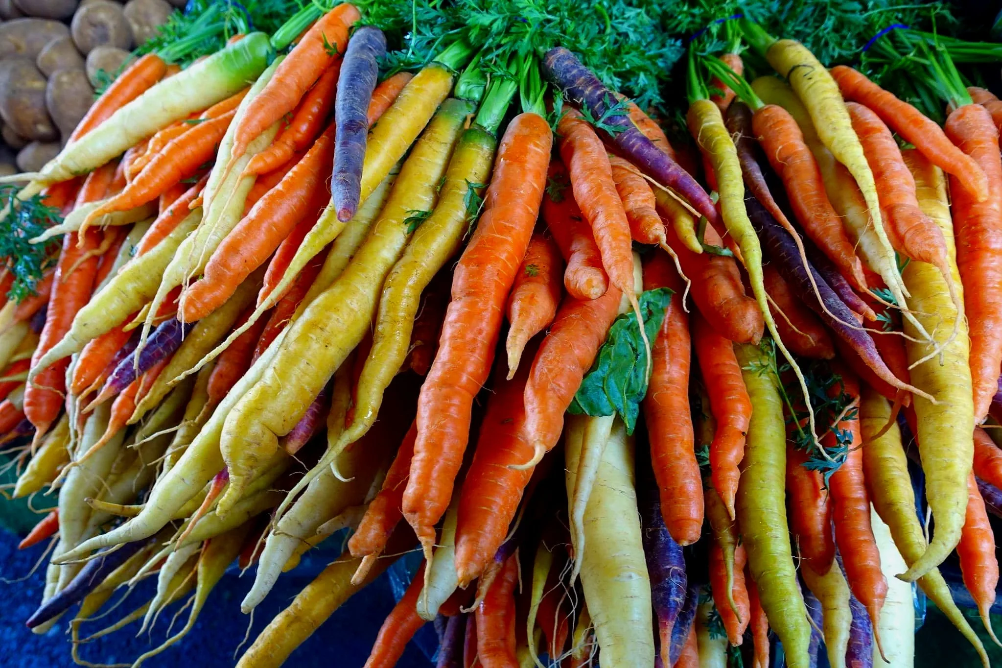 carrots.jpg