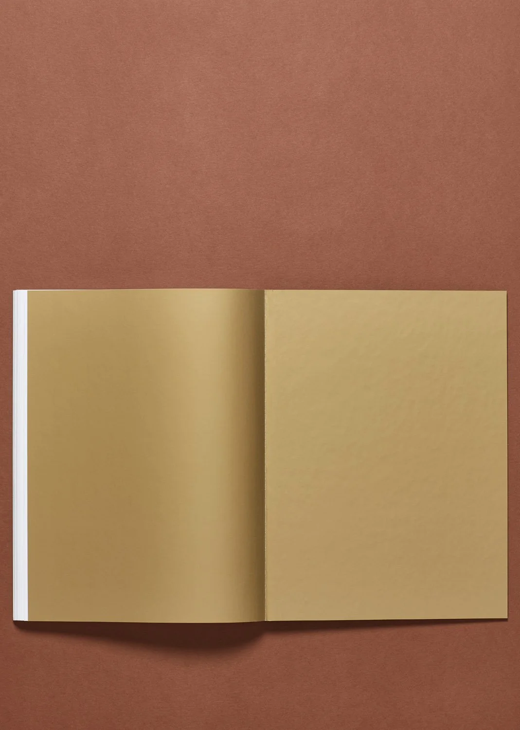 24-10-14_JB Blunk_32249.jpg