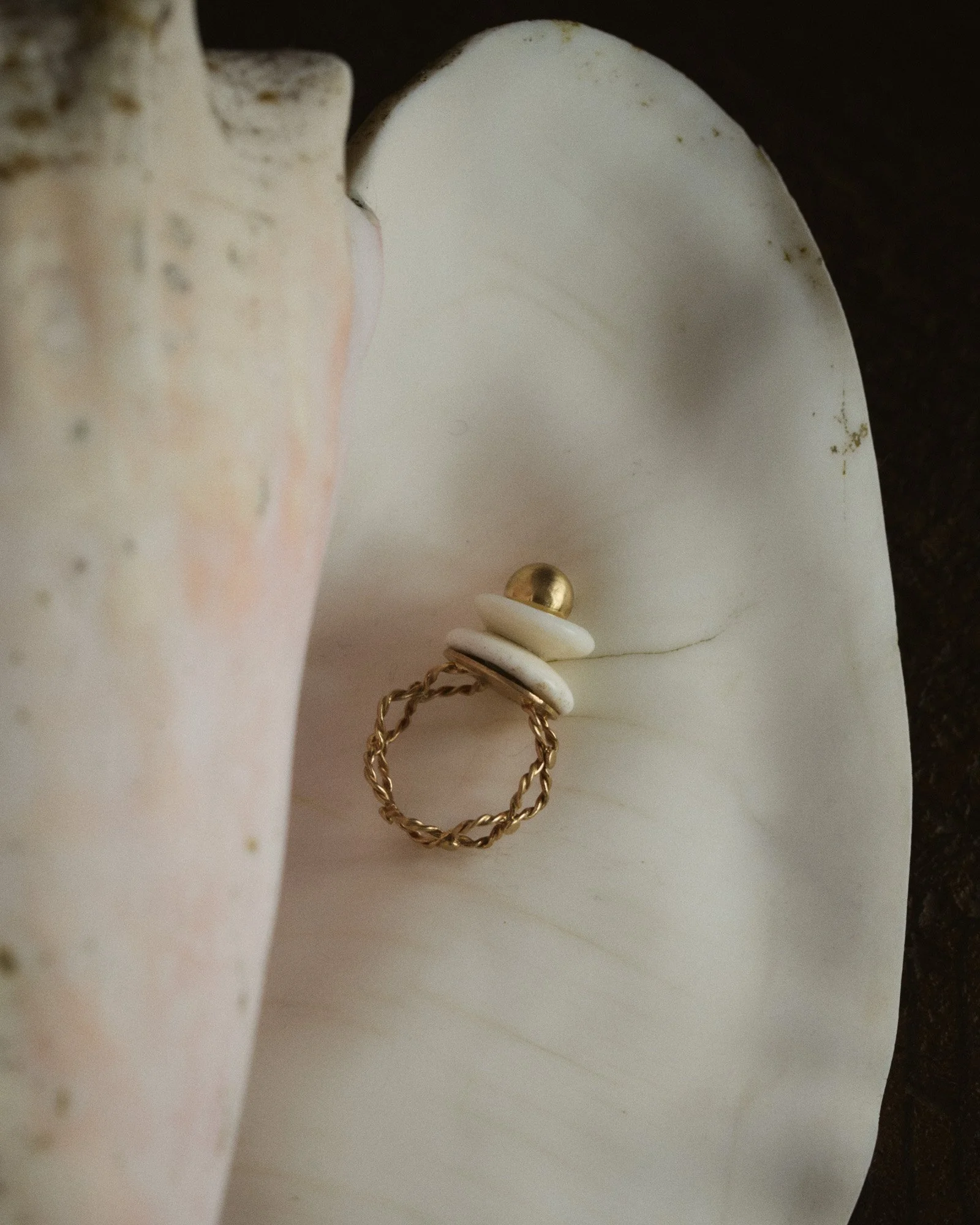 2026_02_JB Blunk0526.jpg