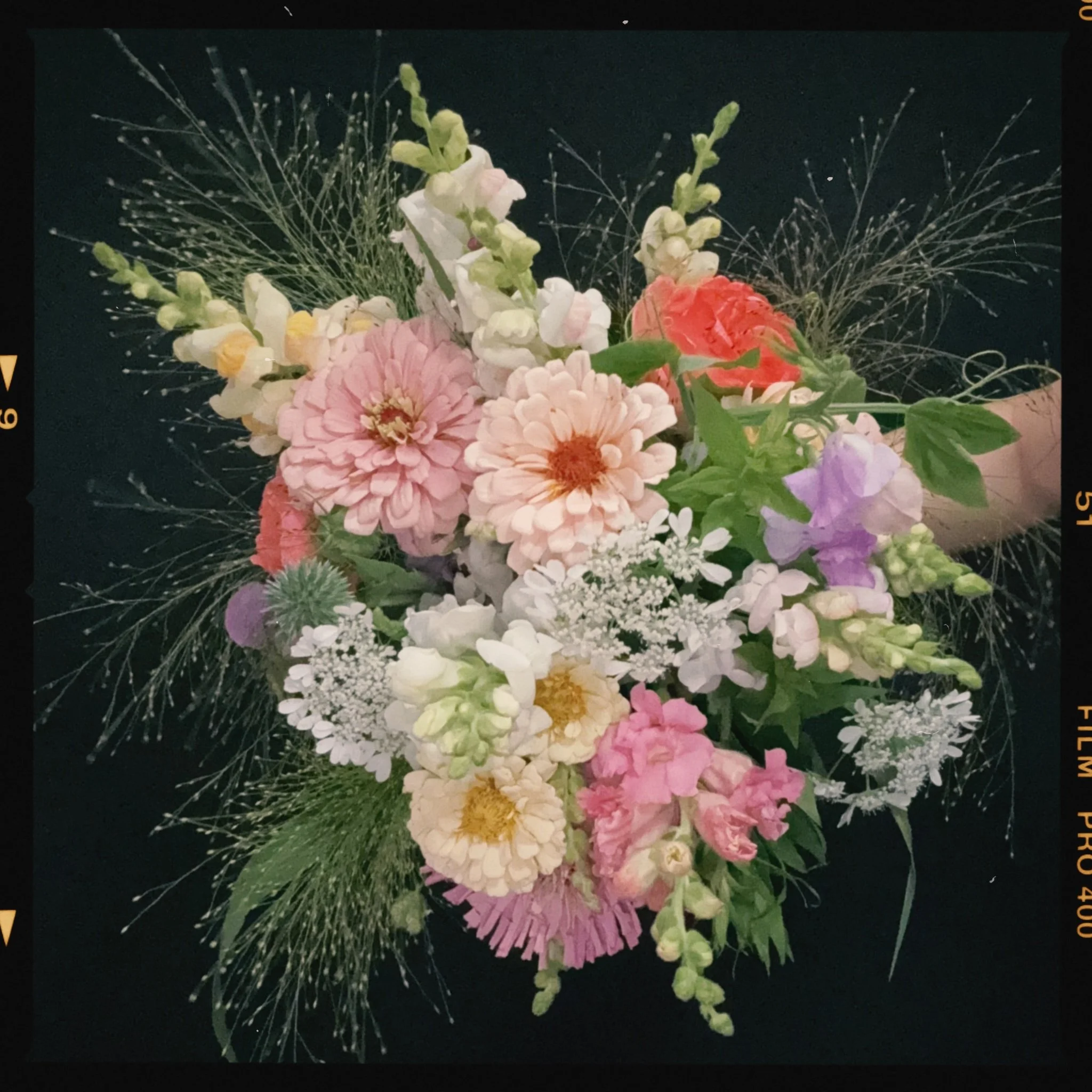 sclassic 2025-07-18 220418.978.jpeg