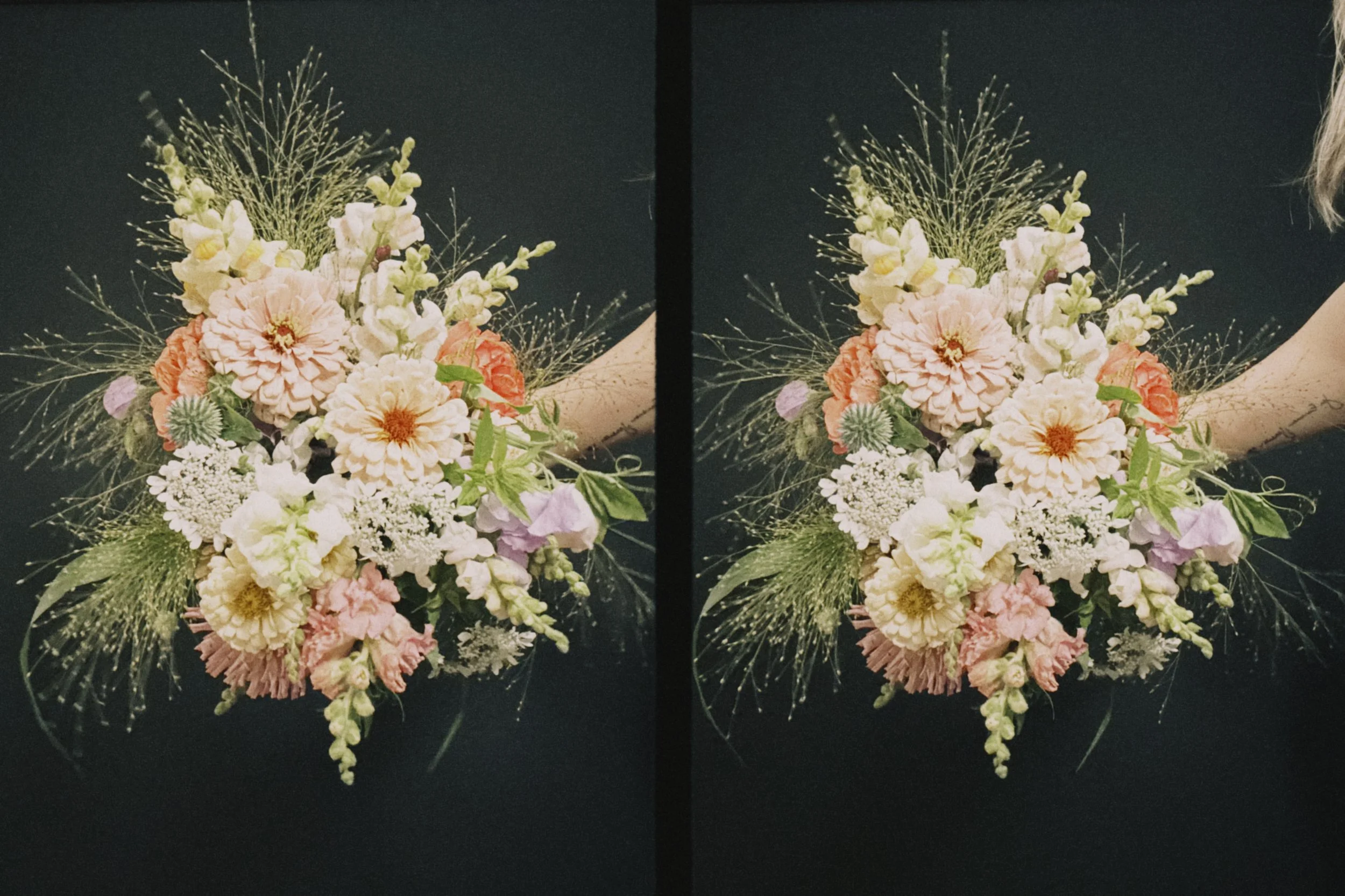 dhalf 2025-07-18 220321.741.jpeg