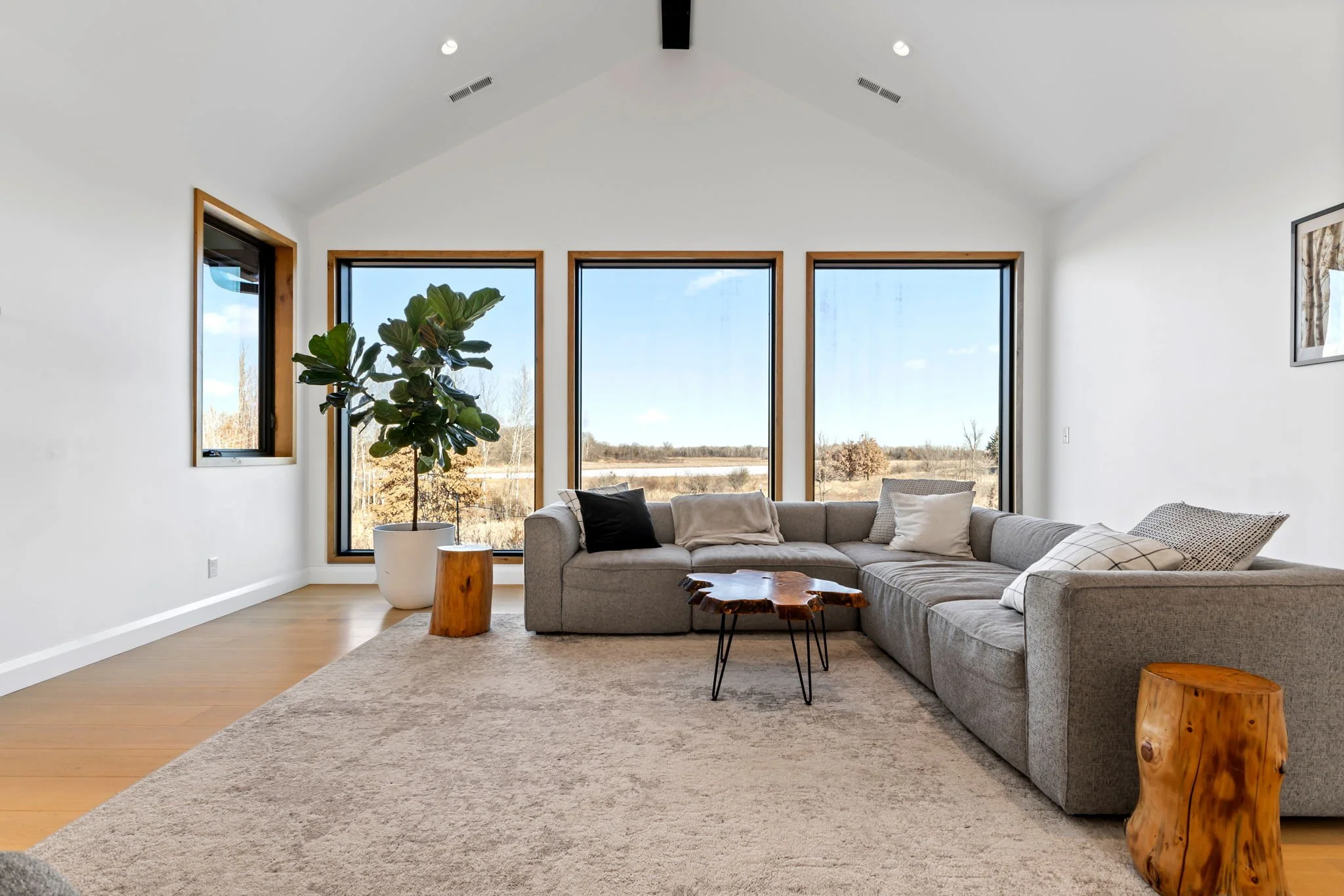 Vivid Spaces_Home Page_12.jpg