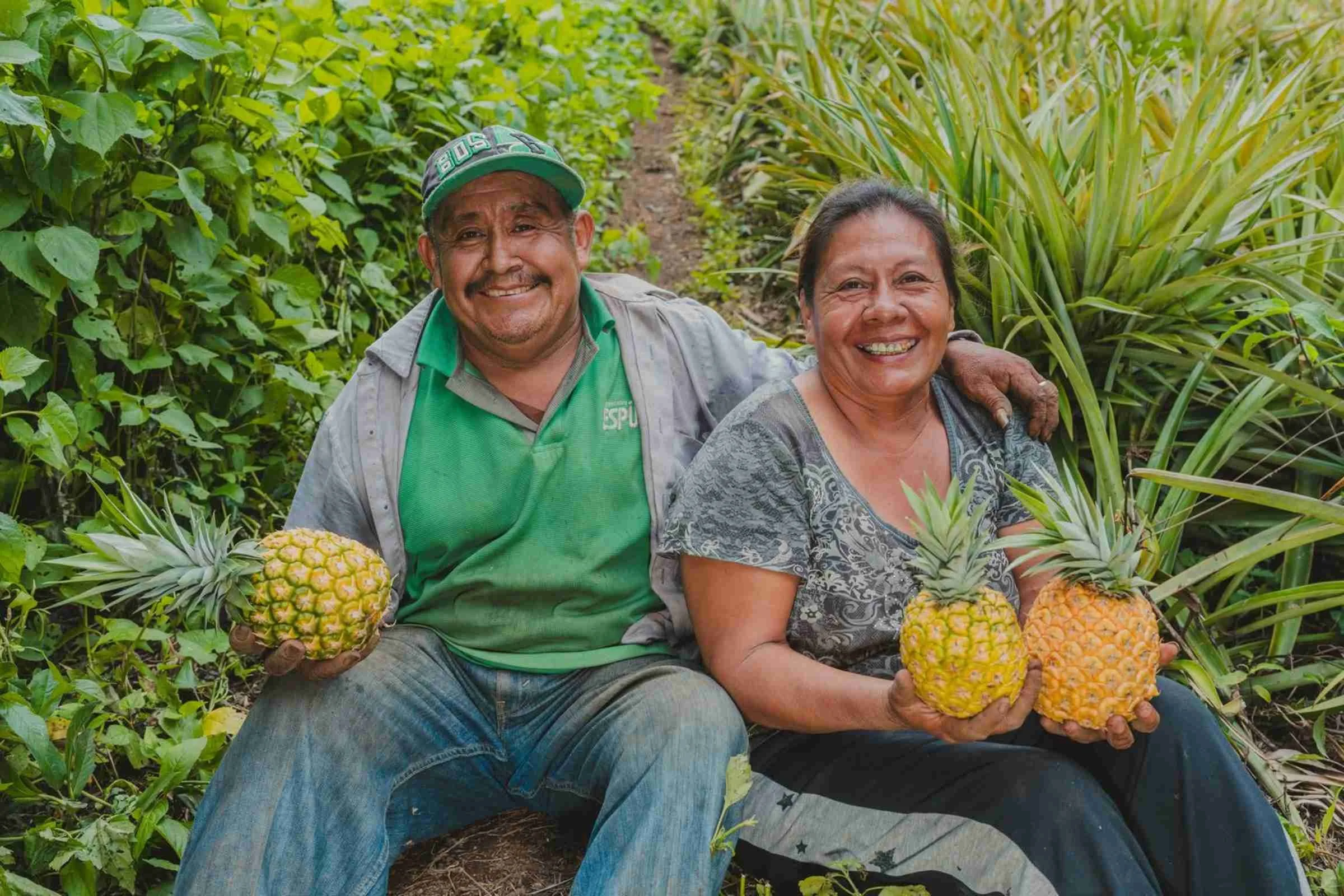 Farming for the Future: Unpacking Organic, Agroecology, and Regenerative Practice