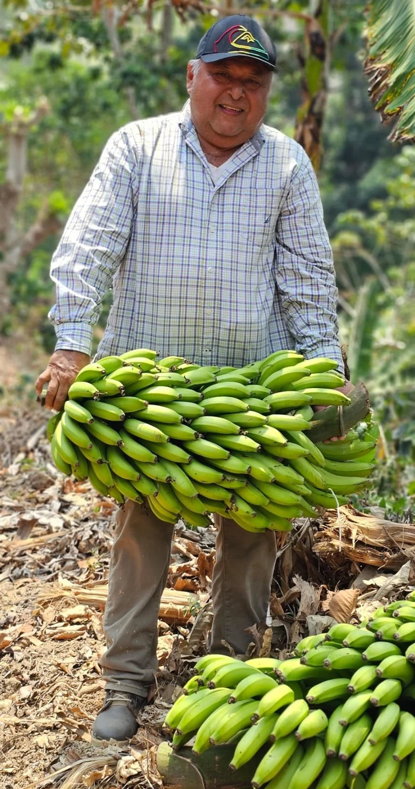  Regenerative Organic Certified® Banana Puree, IQF &amp; Dried Product Journey 