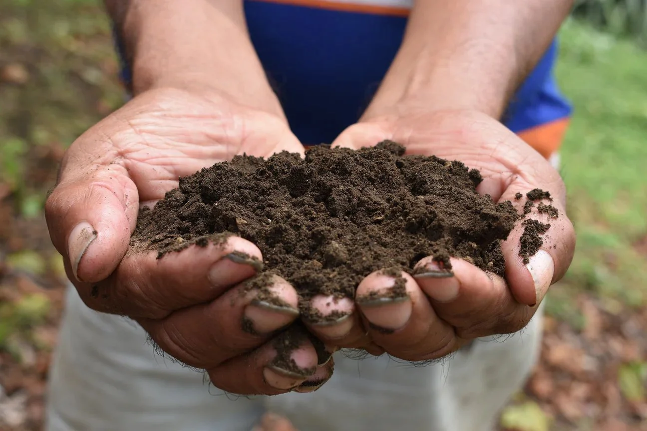 Pioneers of Environmental Stewardship