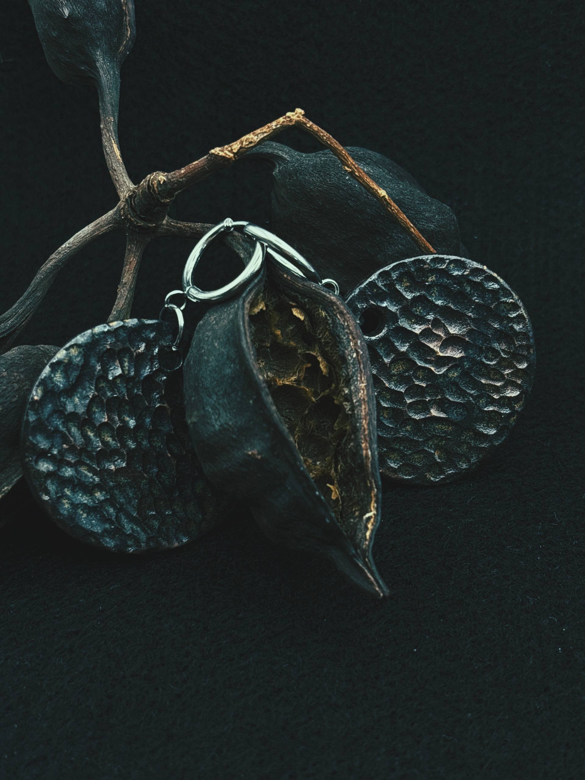 5474179842073891346 (1).jpg