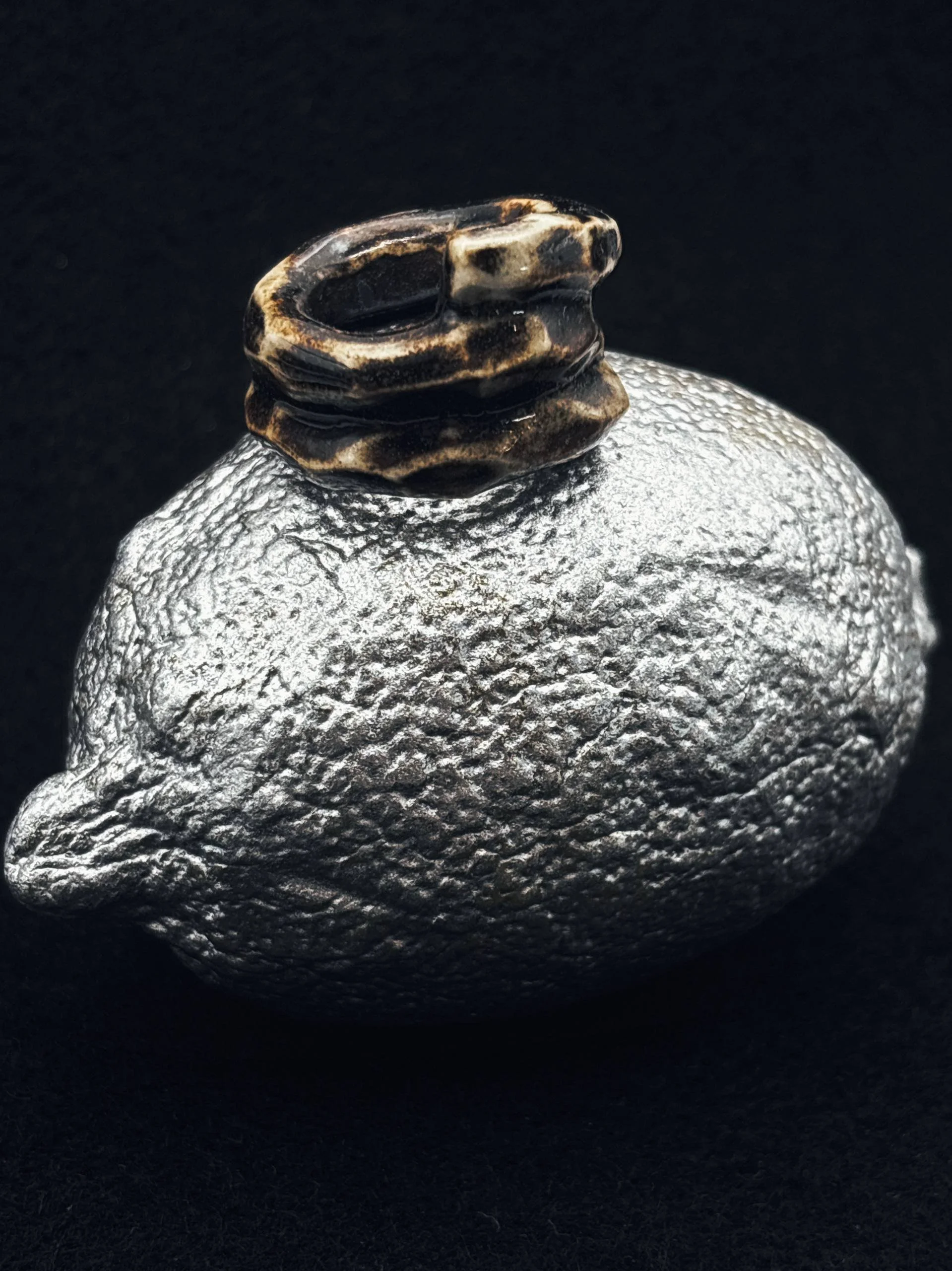 5469723319583053034 (1).jpg