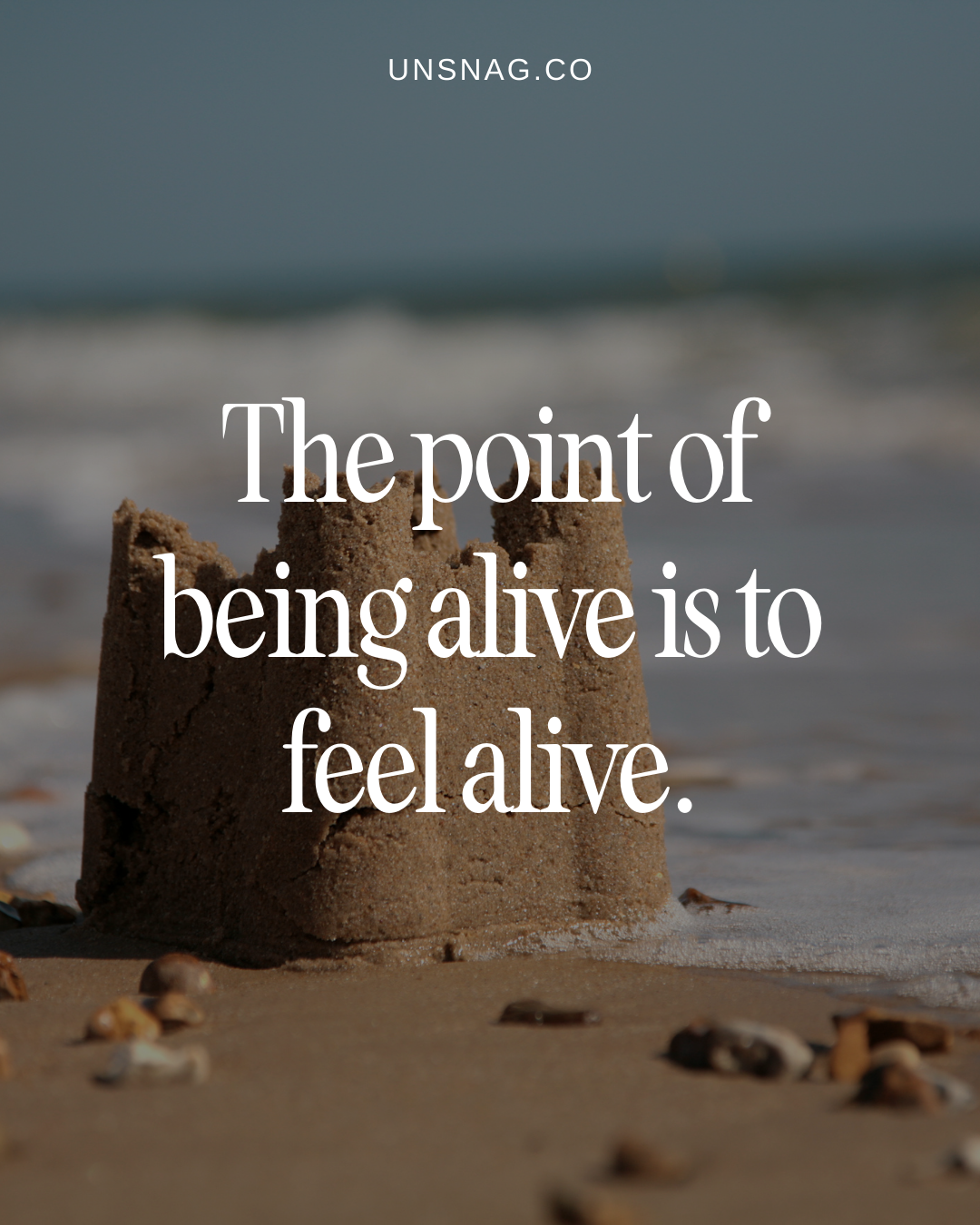 The point of being alive is to feel alive.