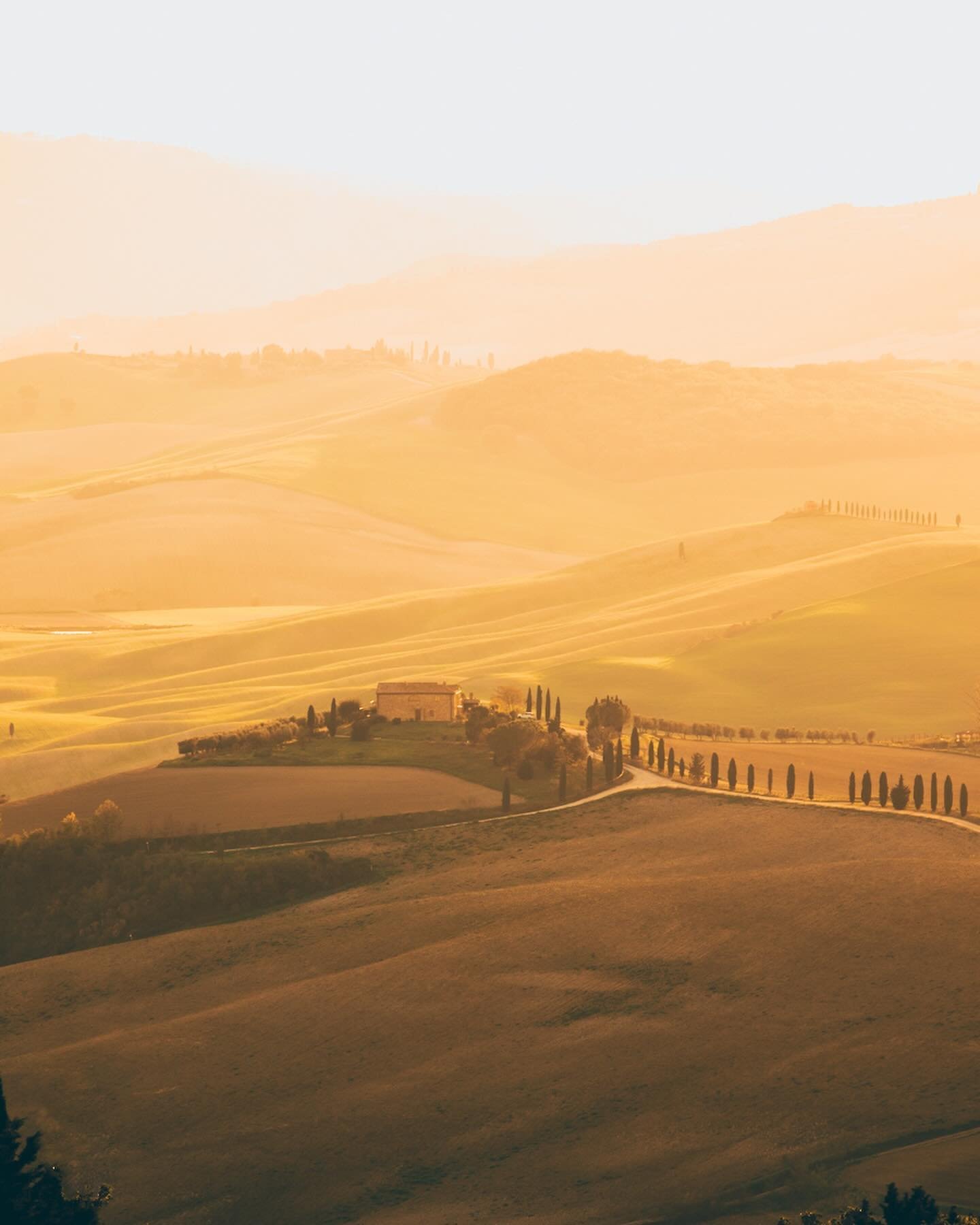 A breathtaking Tuscan sunset casts a golden glow over the landscape, painting the sky with vibrant hues. As the couple stands hand in hand, they are captivated by the beauty of the moment, creating a memory that will forever be etched in their hearts
