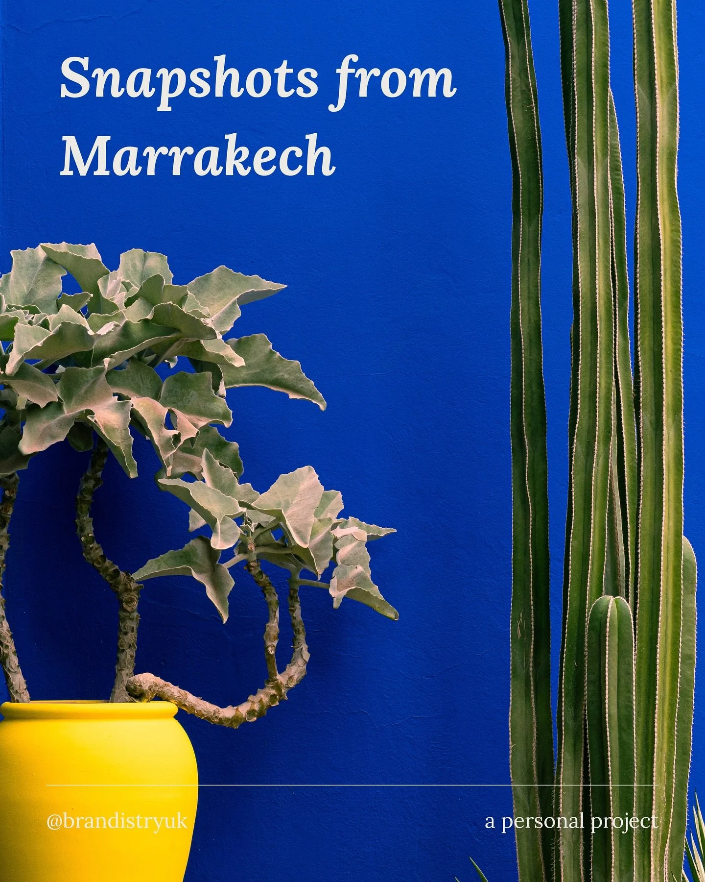 Marrakech&rsquo;s medina tells a story in every corner ✨

From the intricate hand-carved instruments in the souks to the bold architectural details against that famous Majorelle blue, this city is a masterclass in how the smallest details create the 