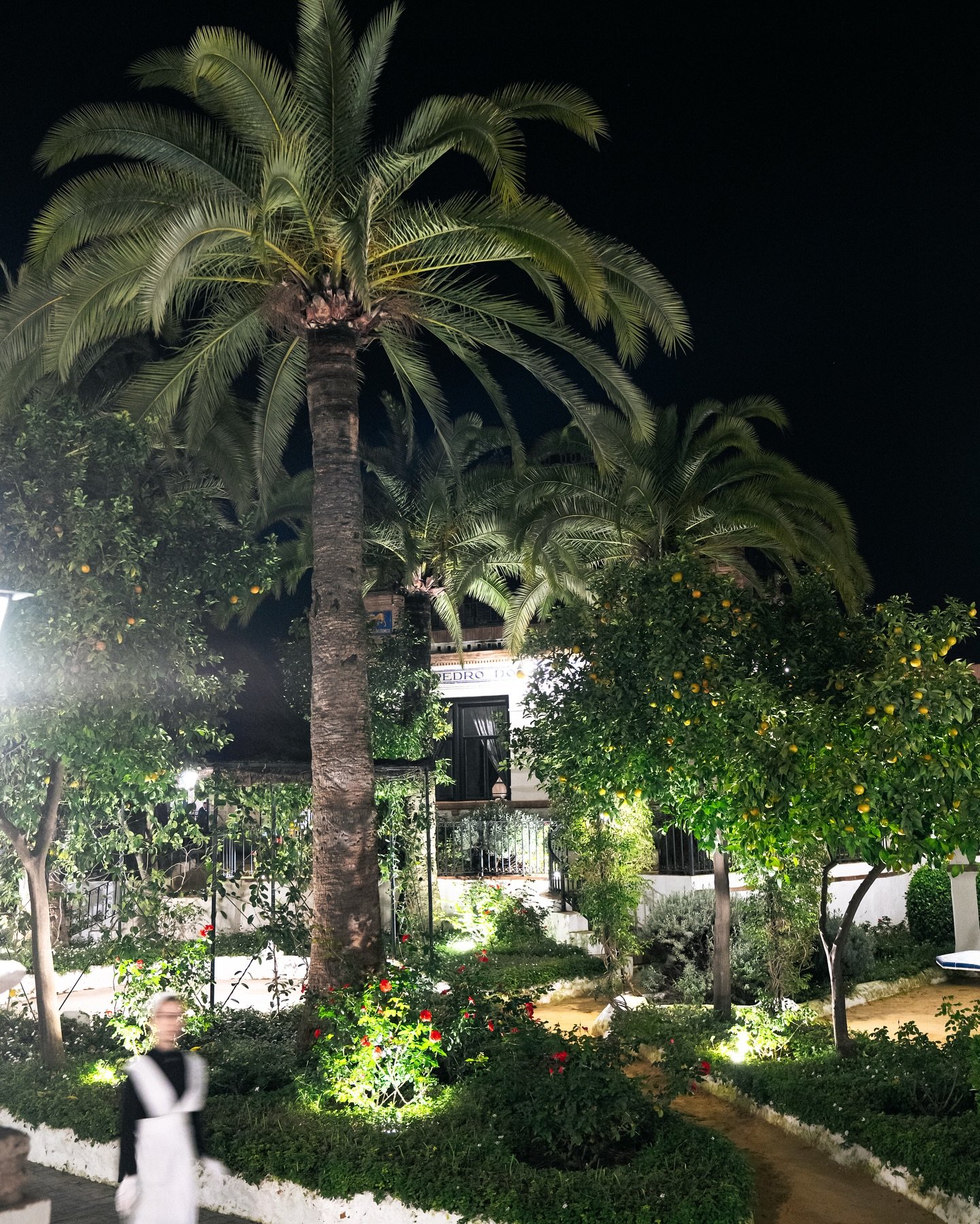 ✨Entre jardines 🍃 iluminados, arquitectura con car&aacute;cter y una atm&oacute;sfera serena, en la Real Venta de Antequera los eventos encuentran su lugar.
Sin necesidad de grandes artificios, el entorno aporta por s&iacute; solo una sensaci&oacute