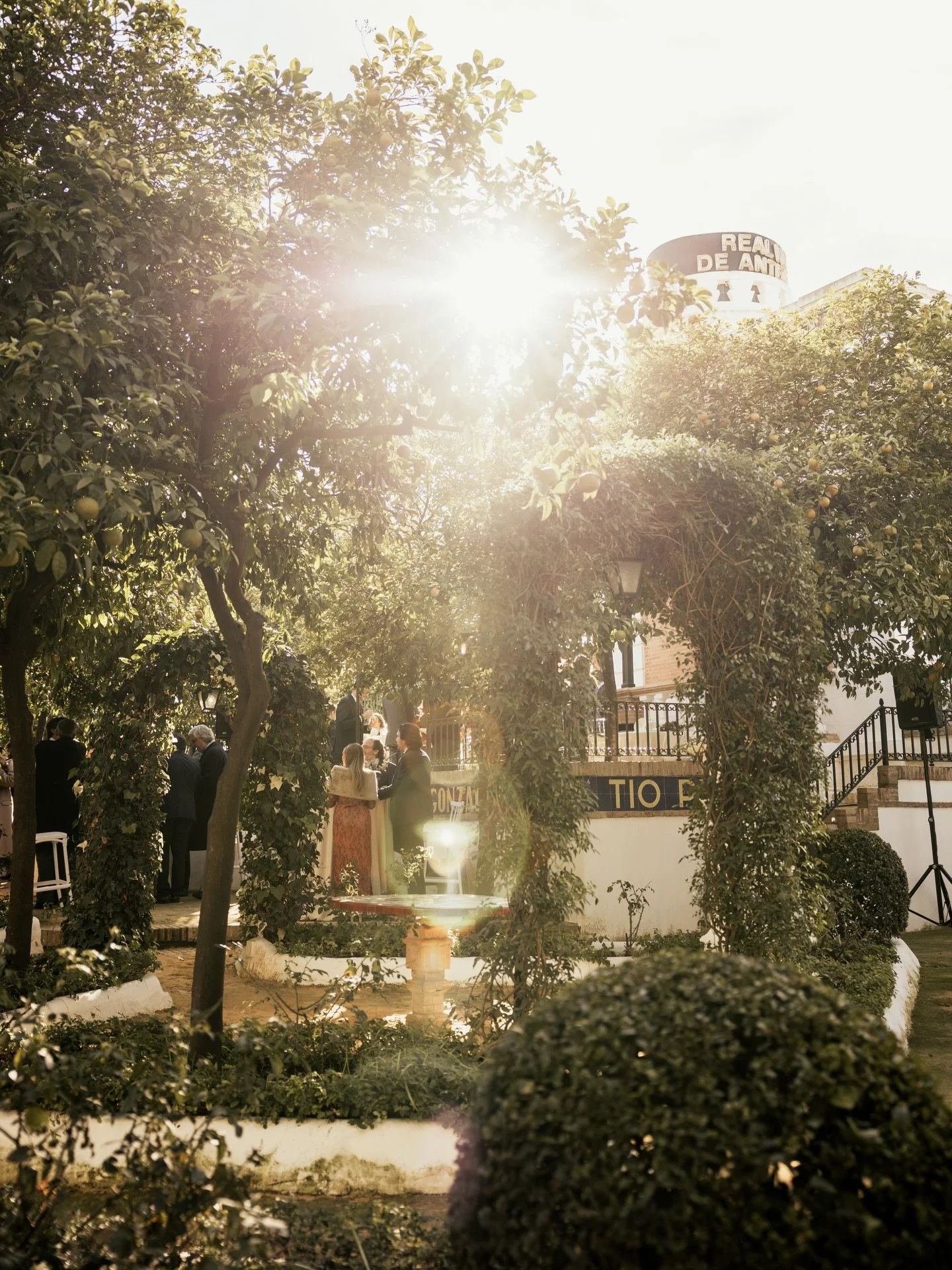 La Real Venta de Antequera.
Un espacio con car&aacute;cter propio.

Se reconoce en los detalles, en la atm&oacute;sfera y en la manera en la que cada boda toma forma aqu&iacute;.

No es casualidad.
Tiene que ver con c&oacute;mo se hacen las cosas. Co