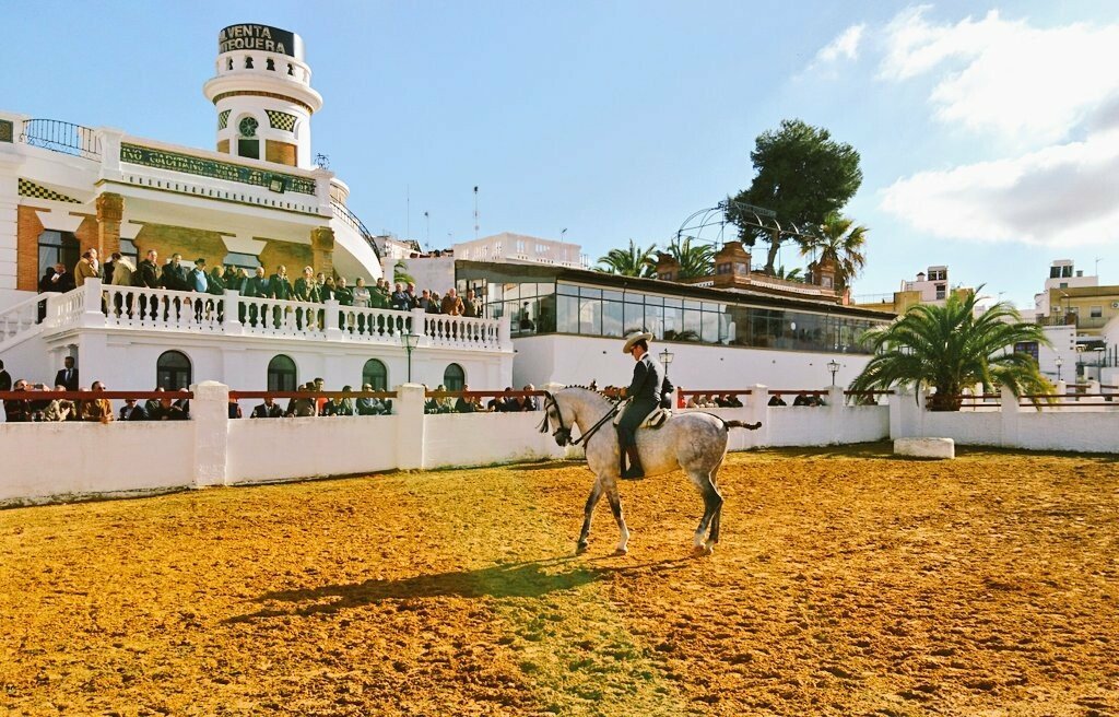 Andalusian dressage horse show with spectators on balconies
