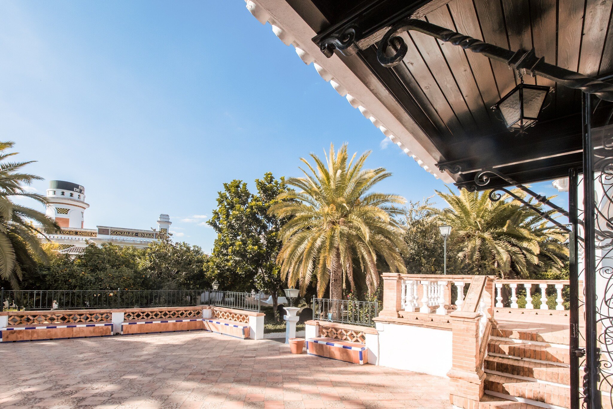 Terrace for events overlooking the garden with palm trees and greenery