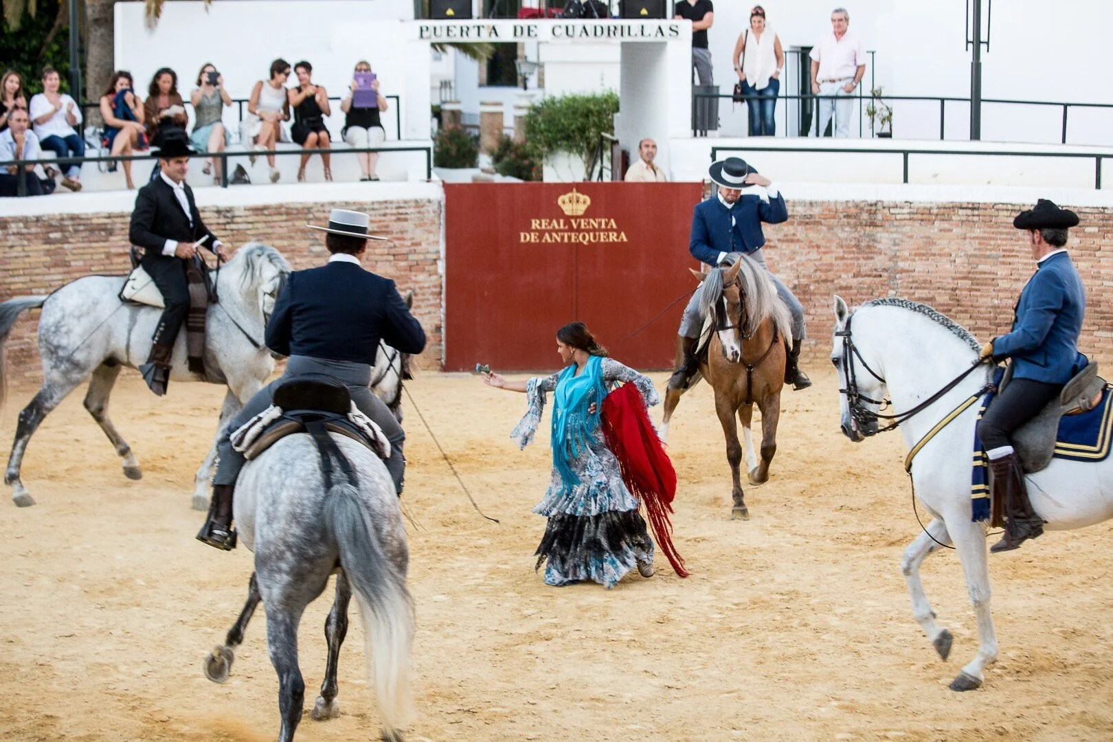 Four horses and a flamenca in a bullring in a show for a company
