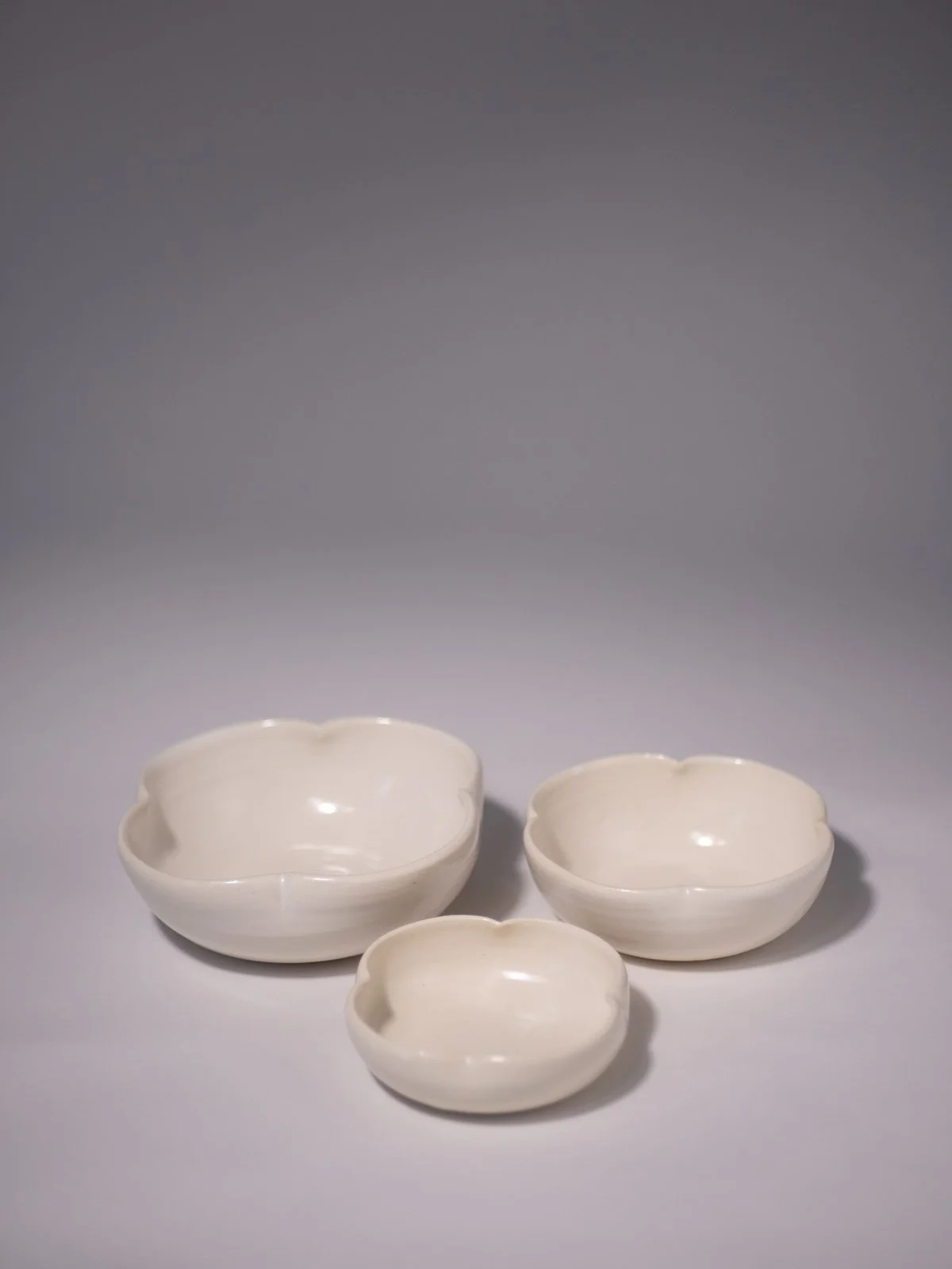 DSCF8378.jpg