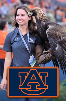 War Eagle! Our partnership with Auburn continues