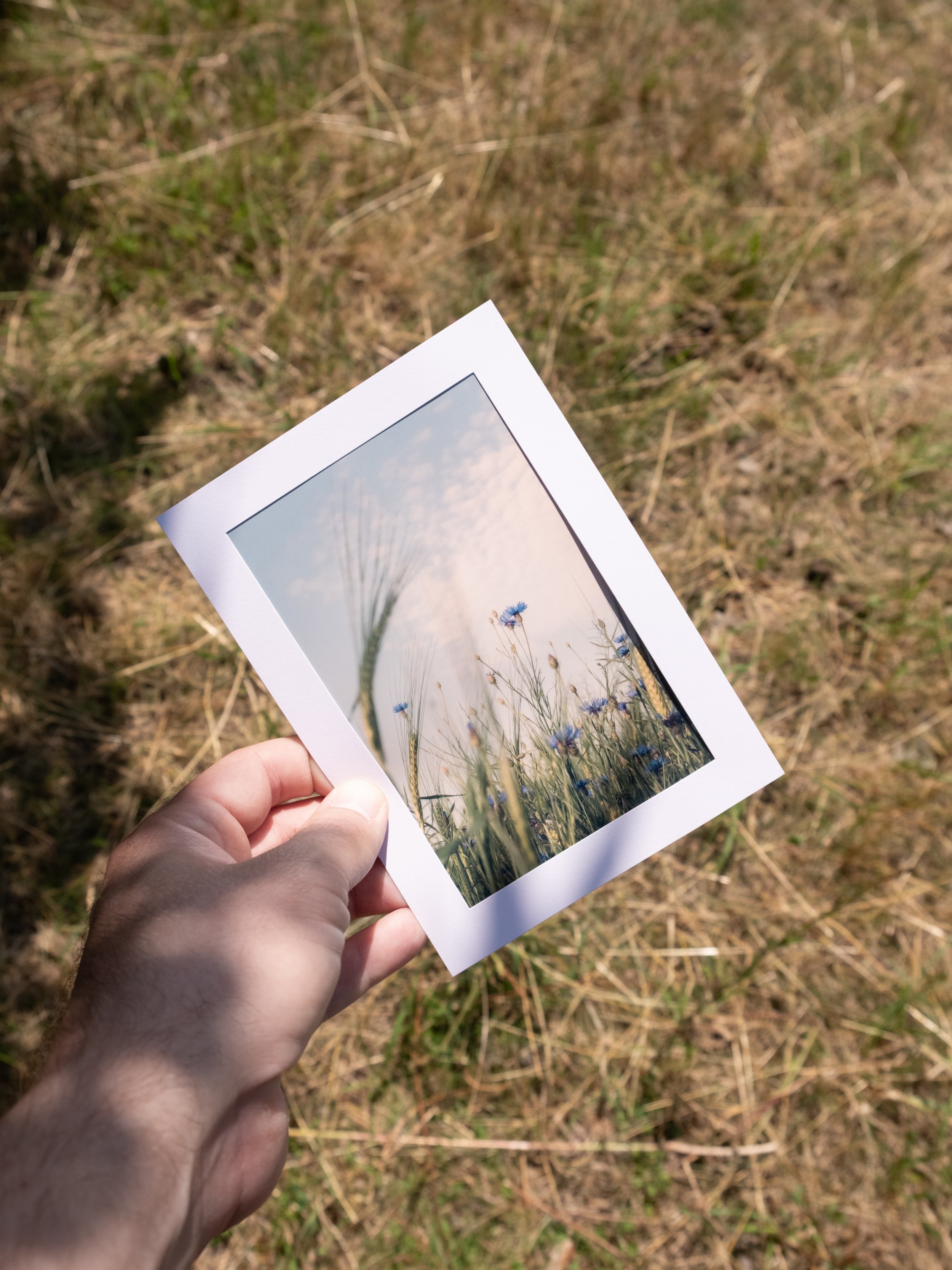 Postcards_Productphotos-08.jpg