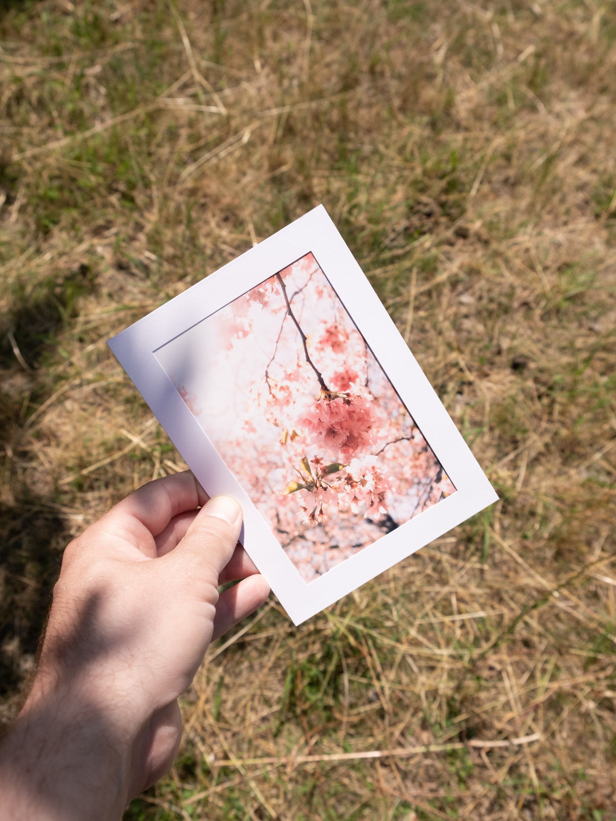 Postcards_Productphotos-12.jpg