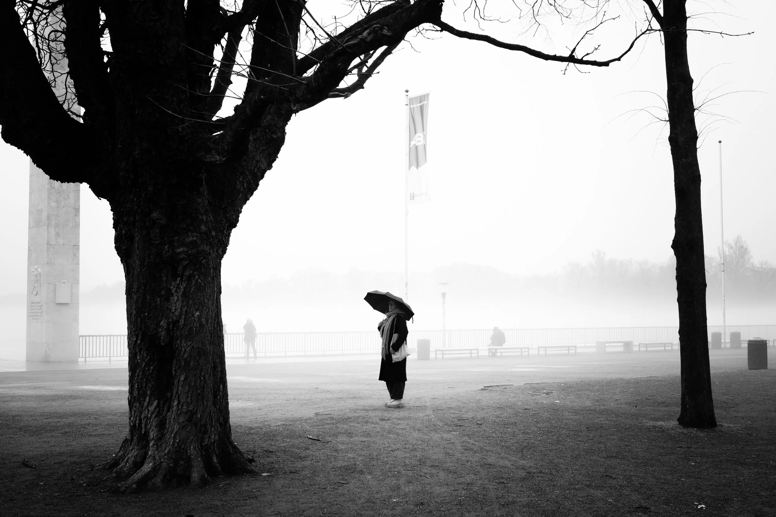 Street_Portfolio-13.jpg