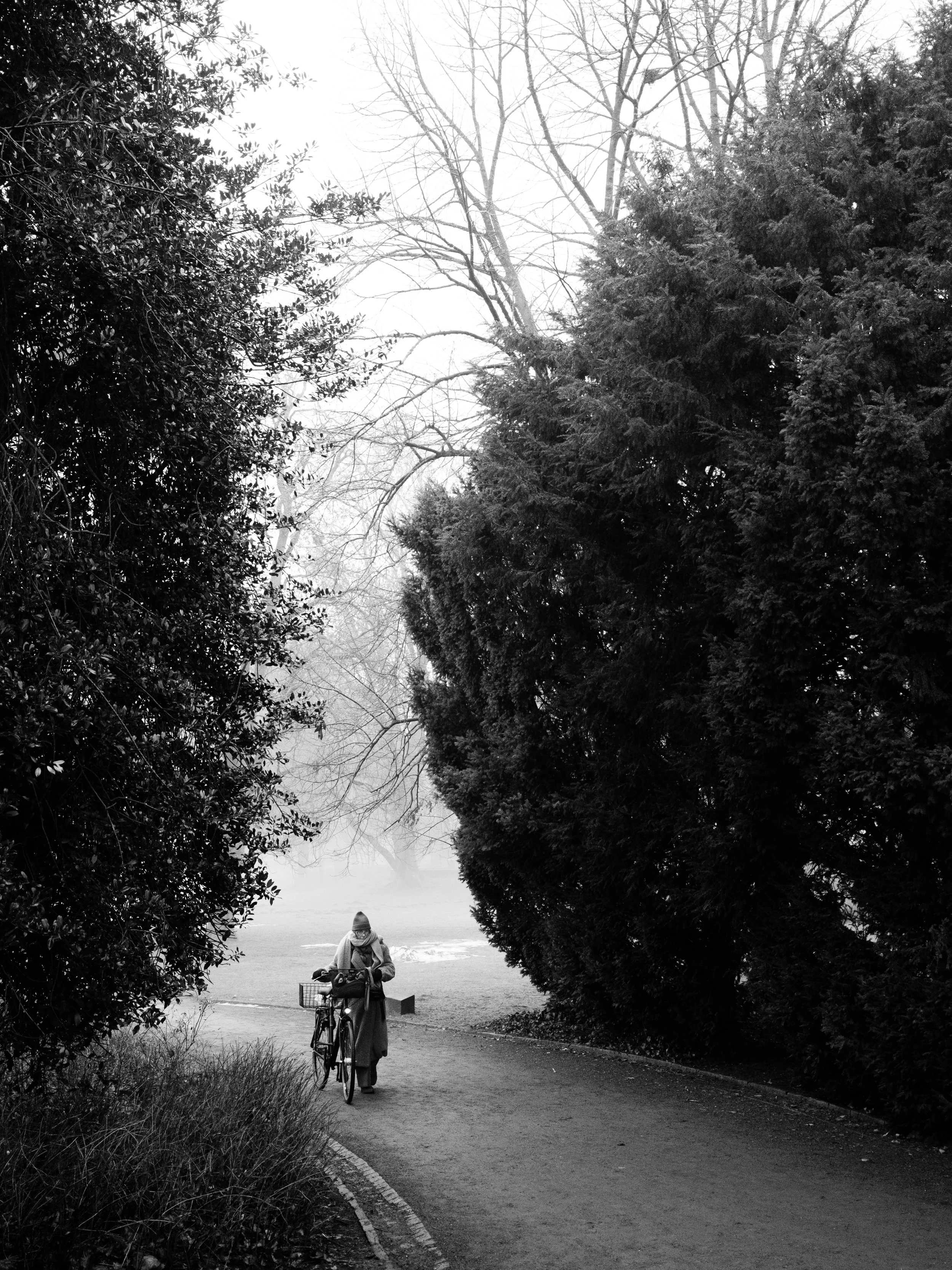 Street_Portfolio-02.jpg