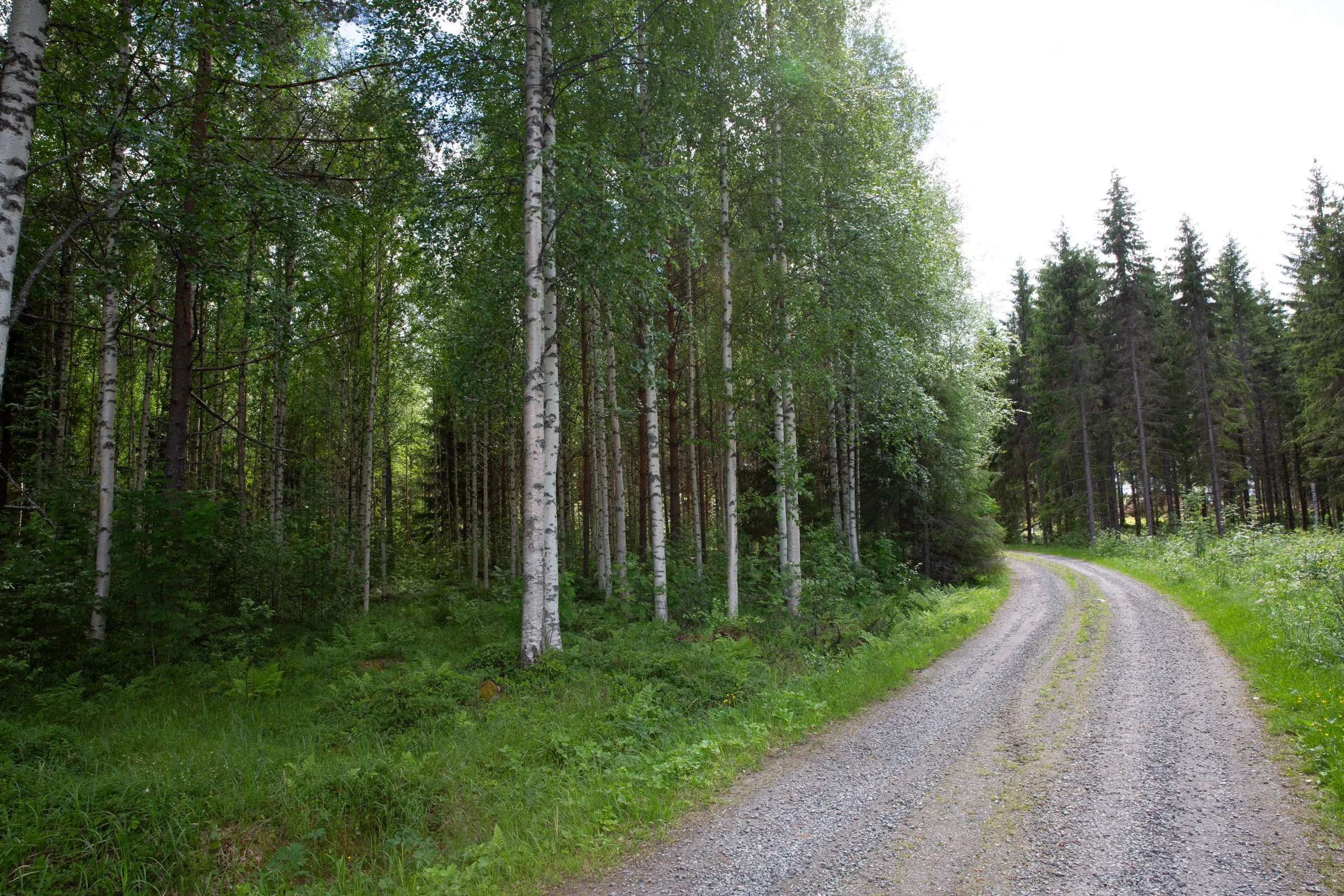 Tero Tolvanen-9.jpg