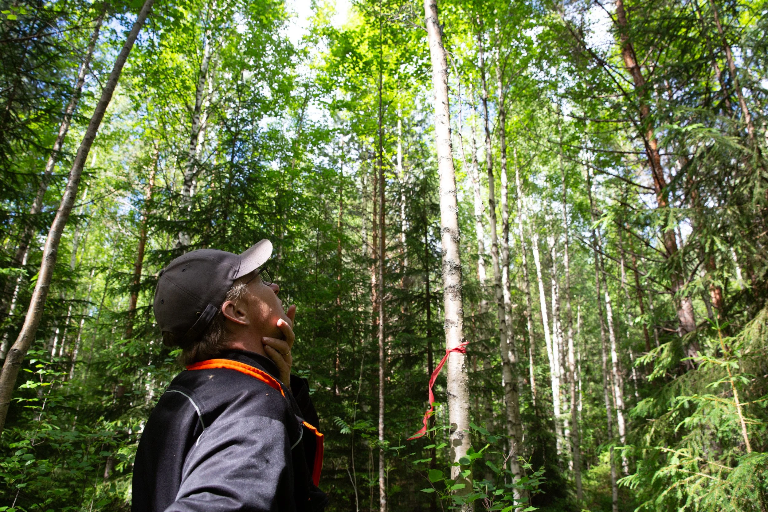 Tero Tolvanen-13.jpg