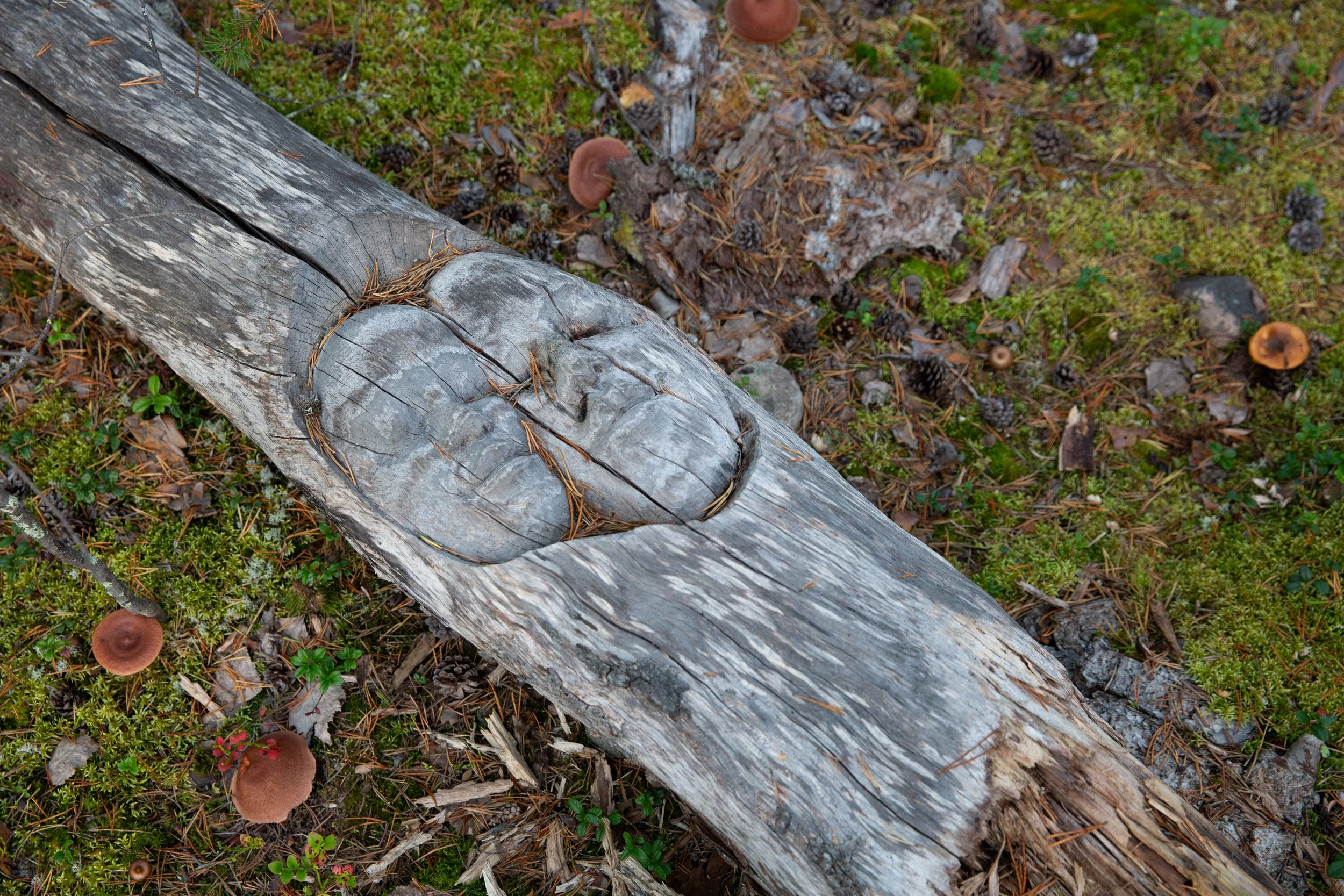 Pekka Syväniemi-15.jpg