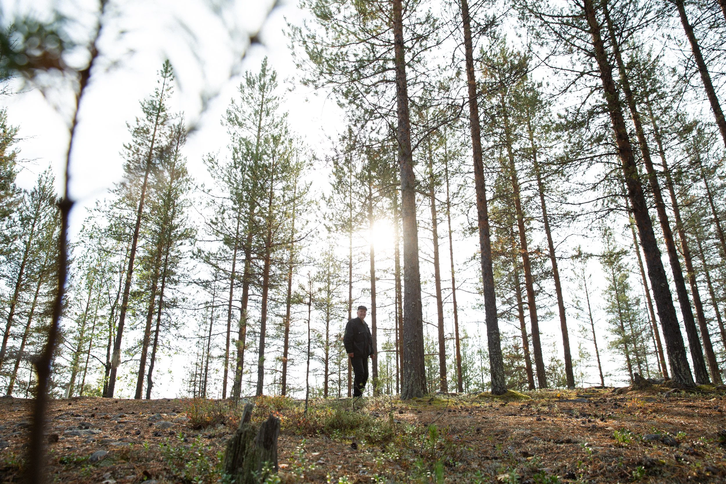 Pekka Syväniemi-8.jpg