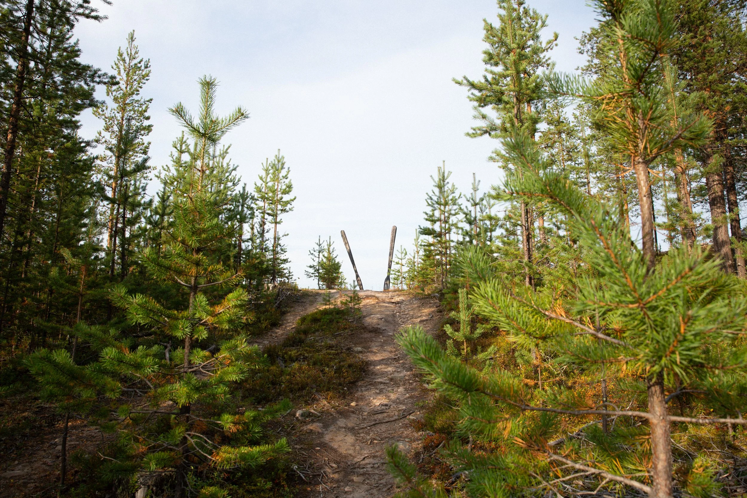 Pekka Syväniemi-7.jpg