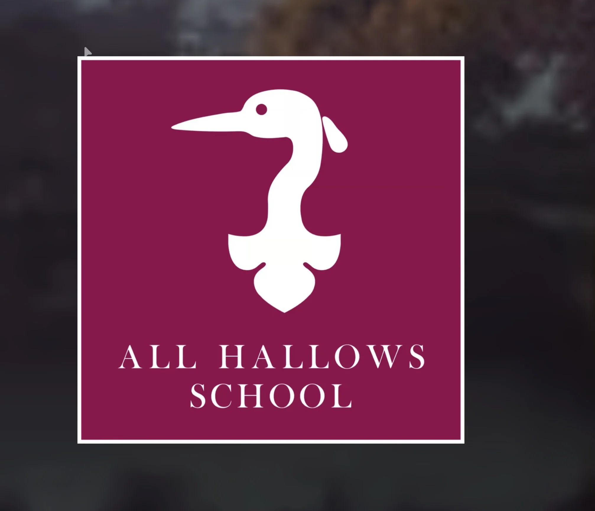 Black History Talk at All Hallows school