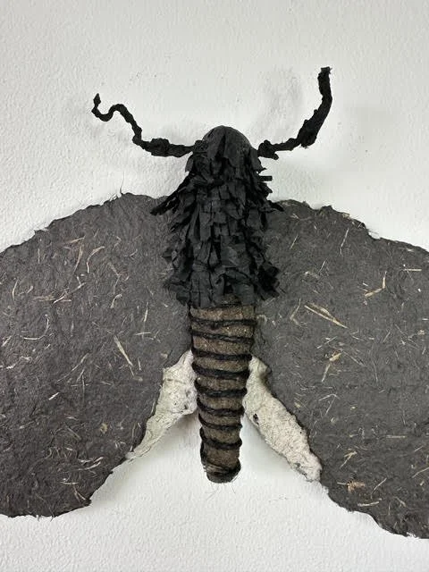 Close-up of moth sculpture showing the body and wings. Original eco-conscious art made by Lindqvist Art