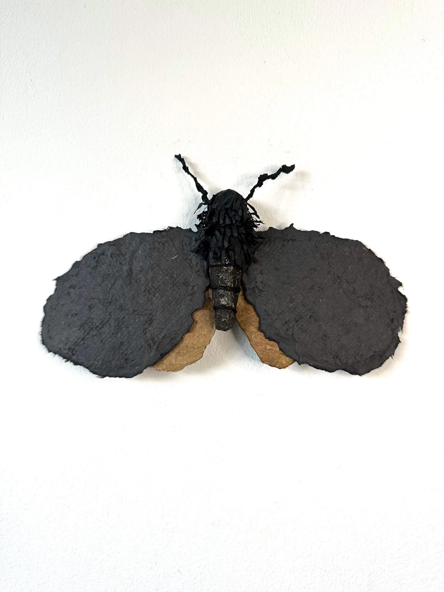 moth-cardbaord-and-handmade-paper-sculpture.jpg