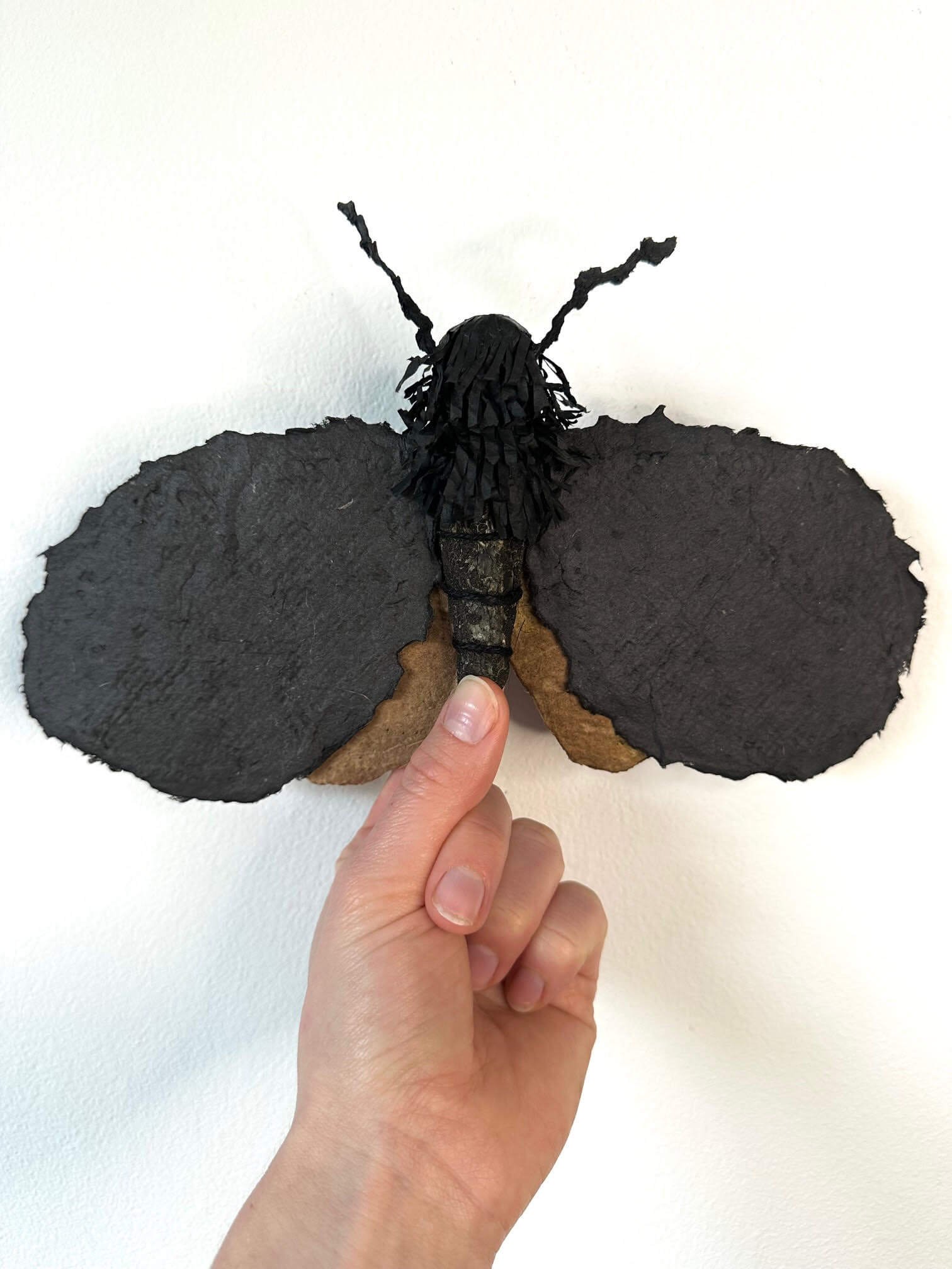 moth-sculpture-size.jpg