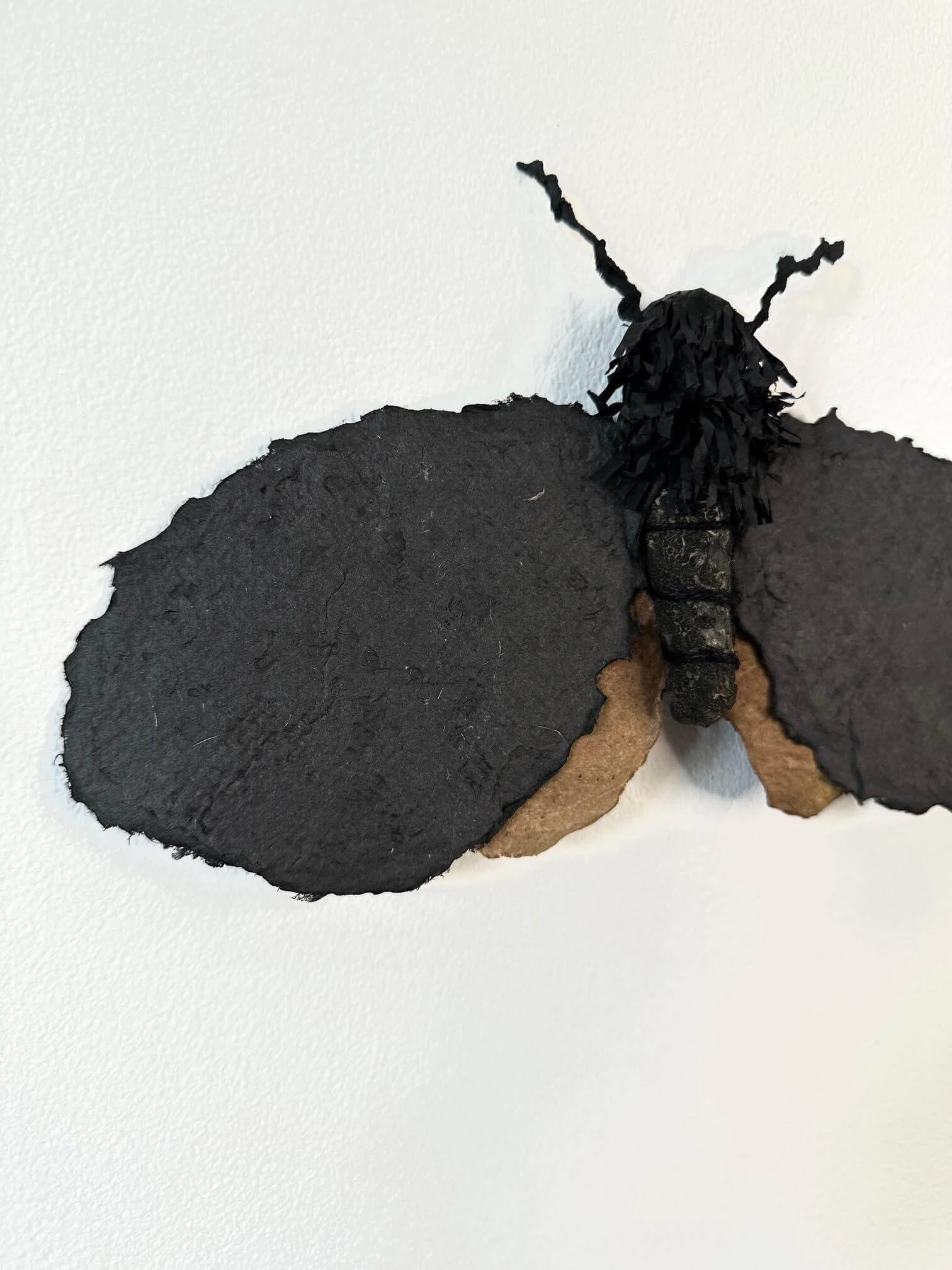 moth-sculpture-wing-detailes .jpg