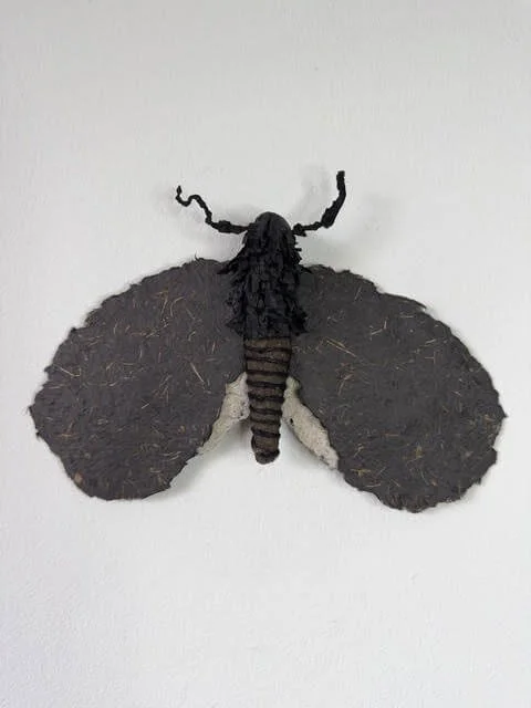 Drawn - original paper moth sculpture. Eco-conscious art by Caroline Lindqvist Art