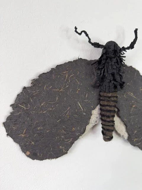 Drawn - moth sculpture showing details of wings made from handmade paper by Lindqvist Art