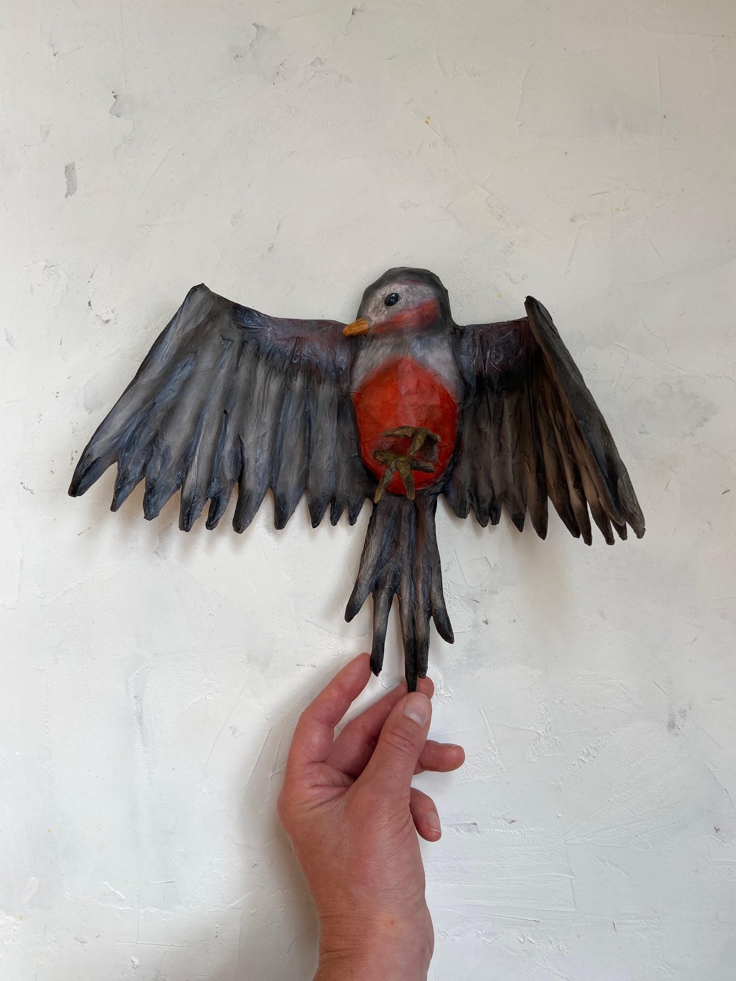 bird7.jpeg