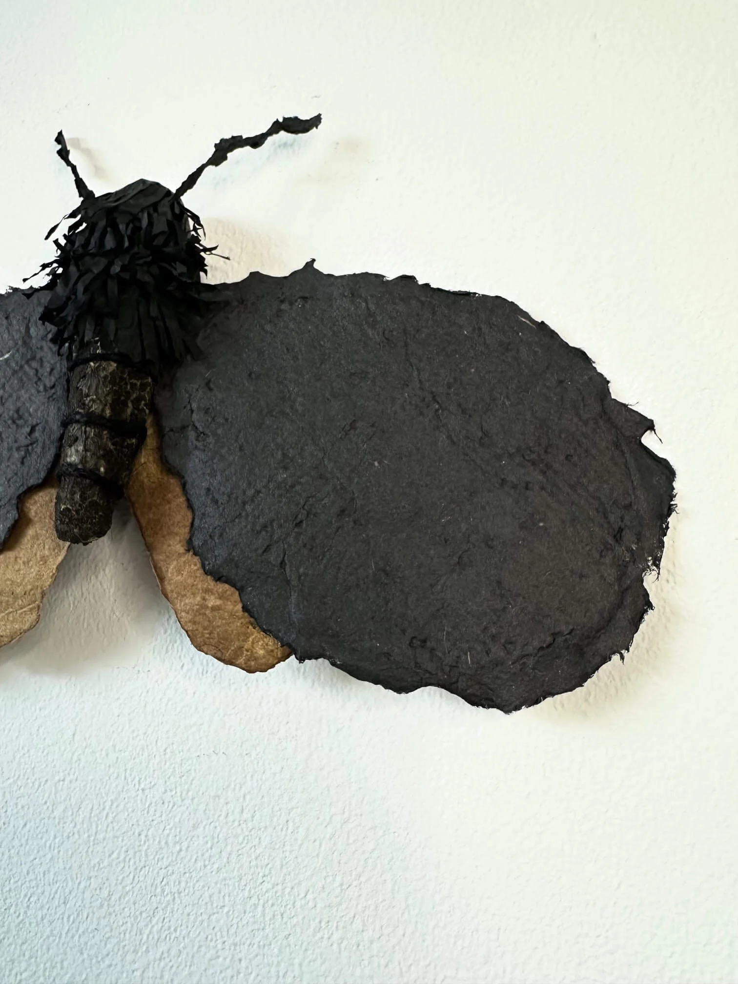 moth-sculpturecloseup-wings.jpg
