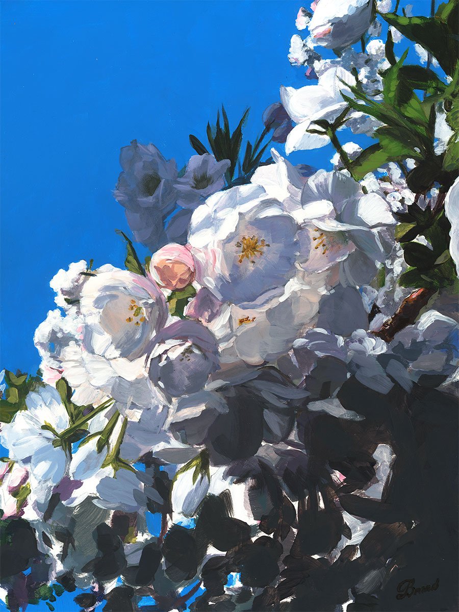 PAINTING — Susan Brand Studio
