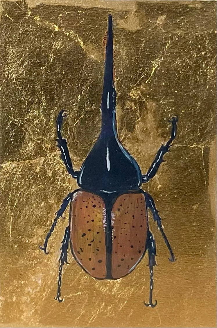 Natural Science Illustration