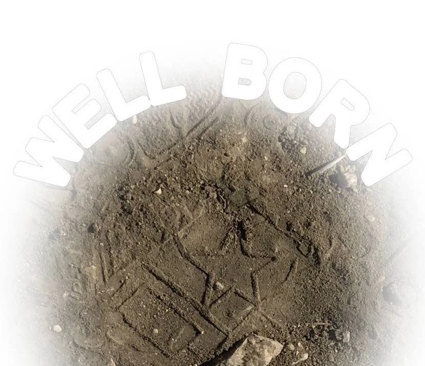 Maxime Buono: WELL BORN