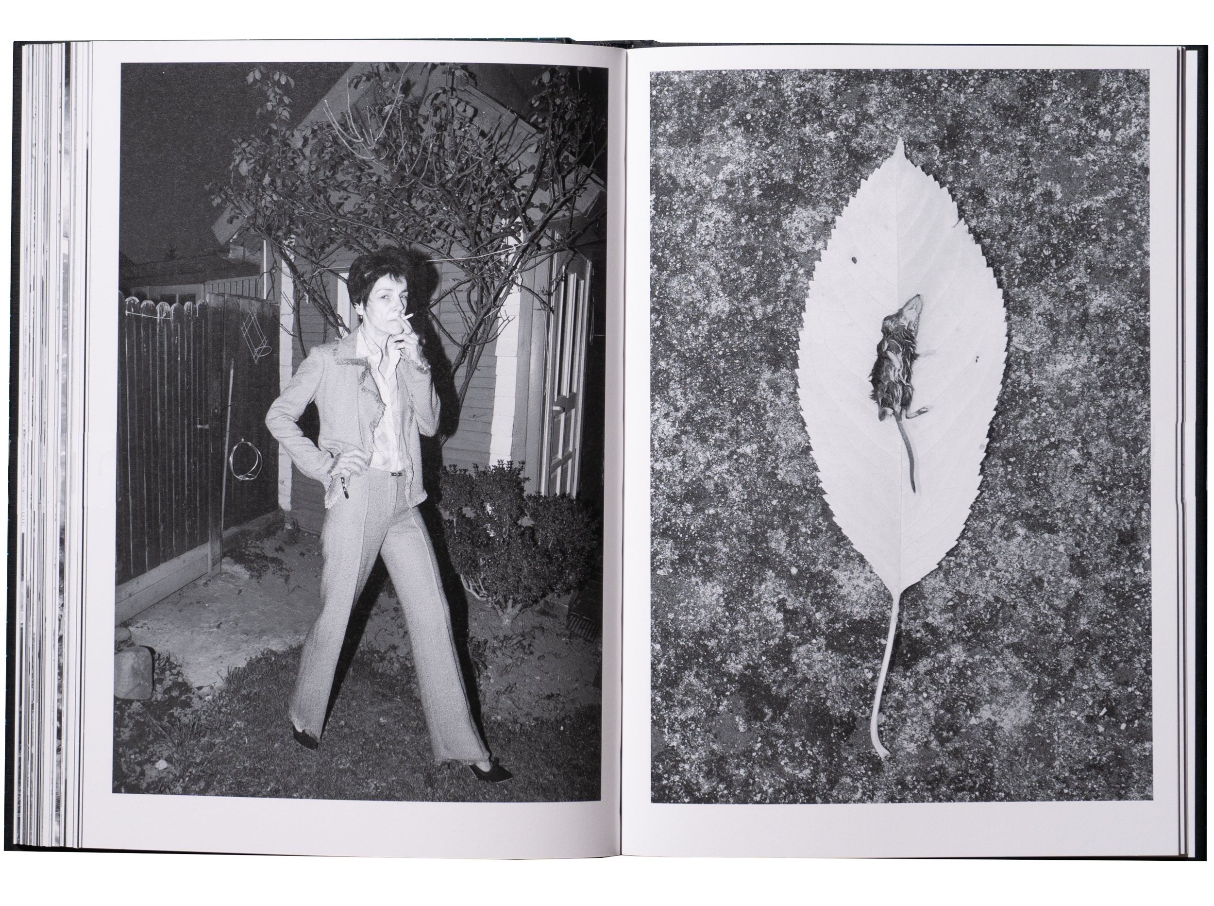 Kincső Bede: Porcelain and Wool