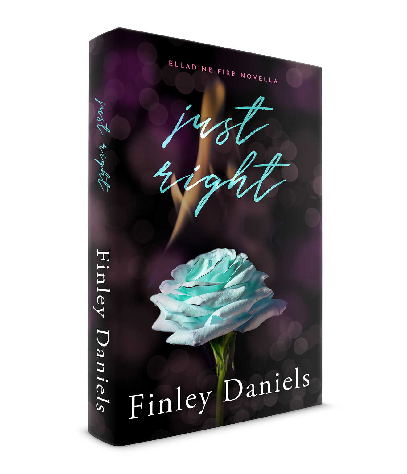 Just right 3D book.png