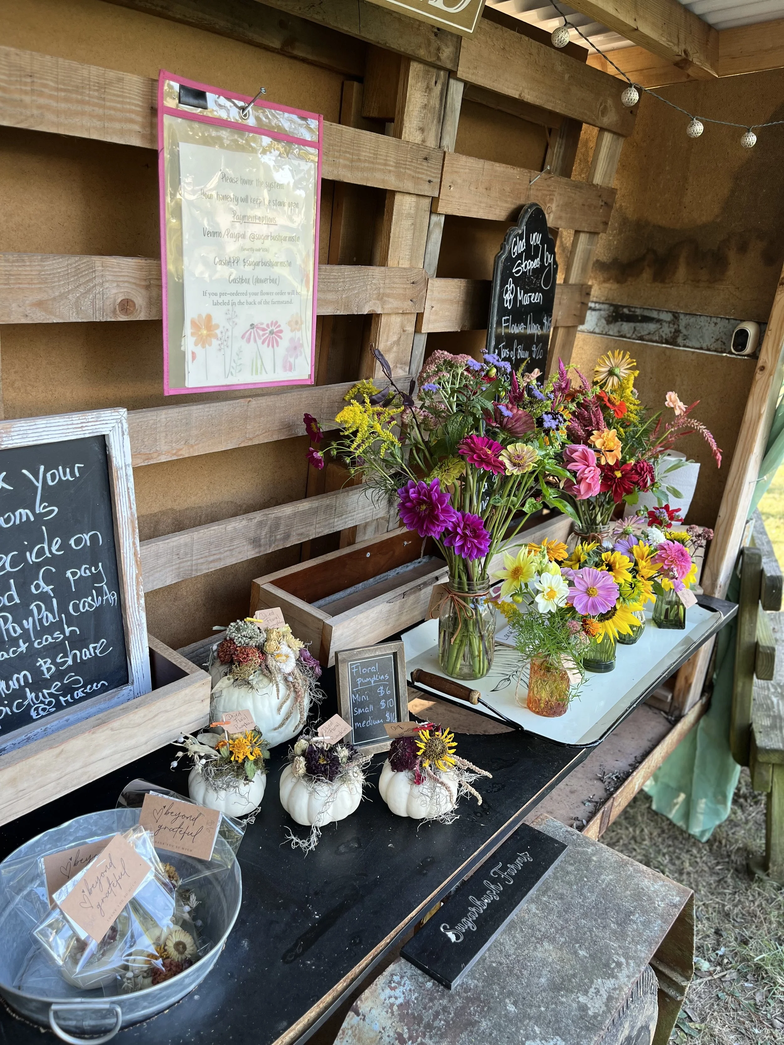 Rustic flower stall with wooden pallet walls, colorful flower bouquets in mason jars, white decorative pumpkins with floral arrangements, chalkboards with handwritten signs for floral pricing and payment instructions, and a string of lights overhead.