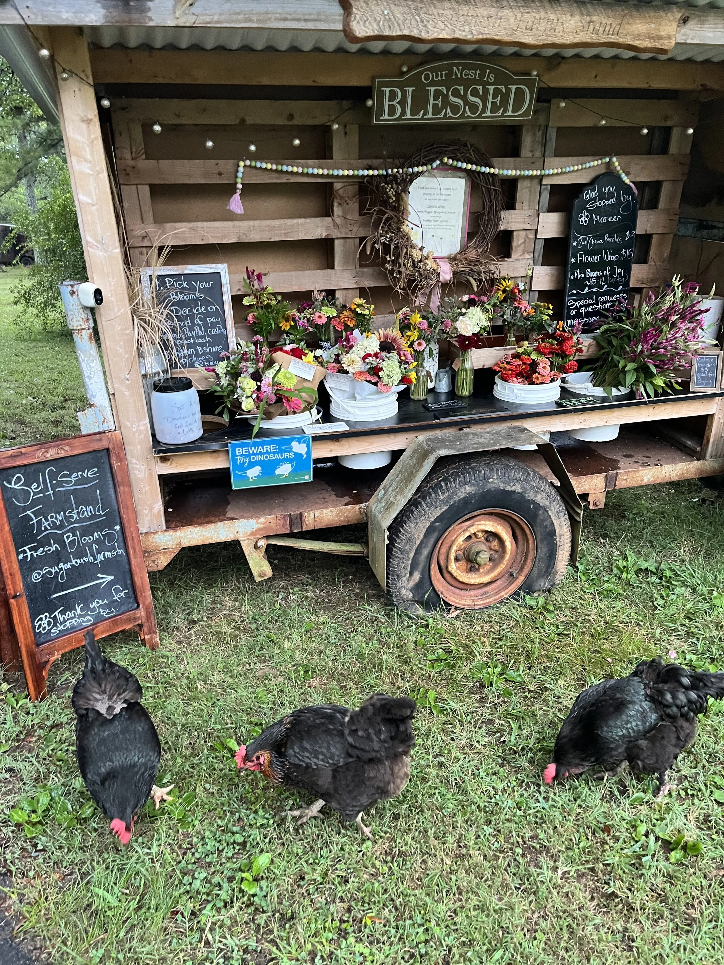 A rustic flower stand with potted flowers, chalkboard signs, and a wooden wreath. Three chickens are in the grass in front of the stand, which has a sign that reads 'Our Nest Is Blessed' and a warning sign that says 'Beware: Try Dinosaurs'.