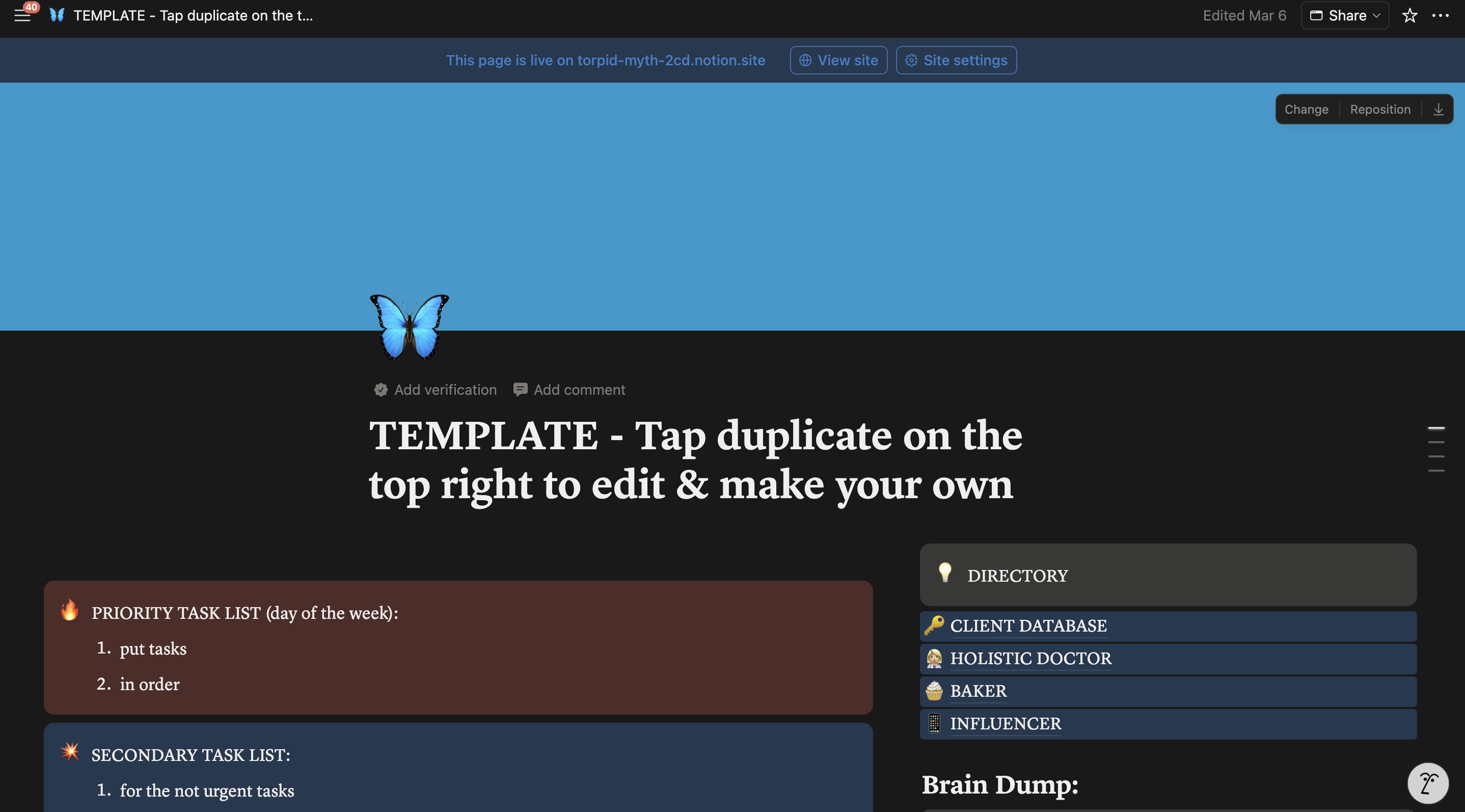 Notion Template for Virtual Assistants | Manage Your VA Business + Social Media Clients