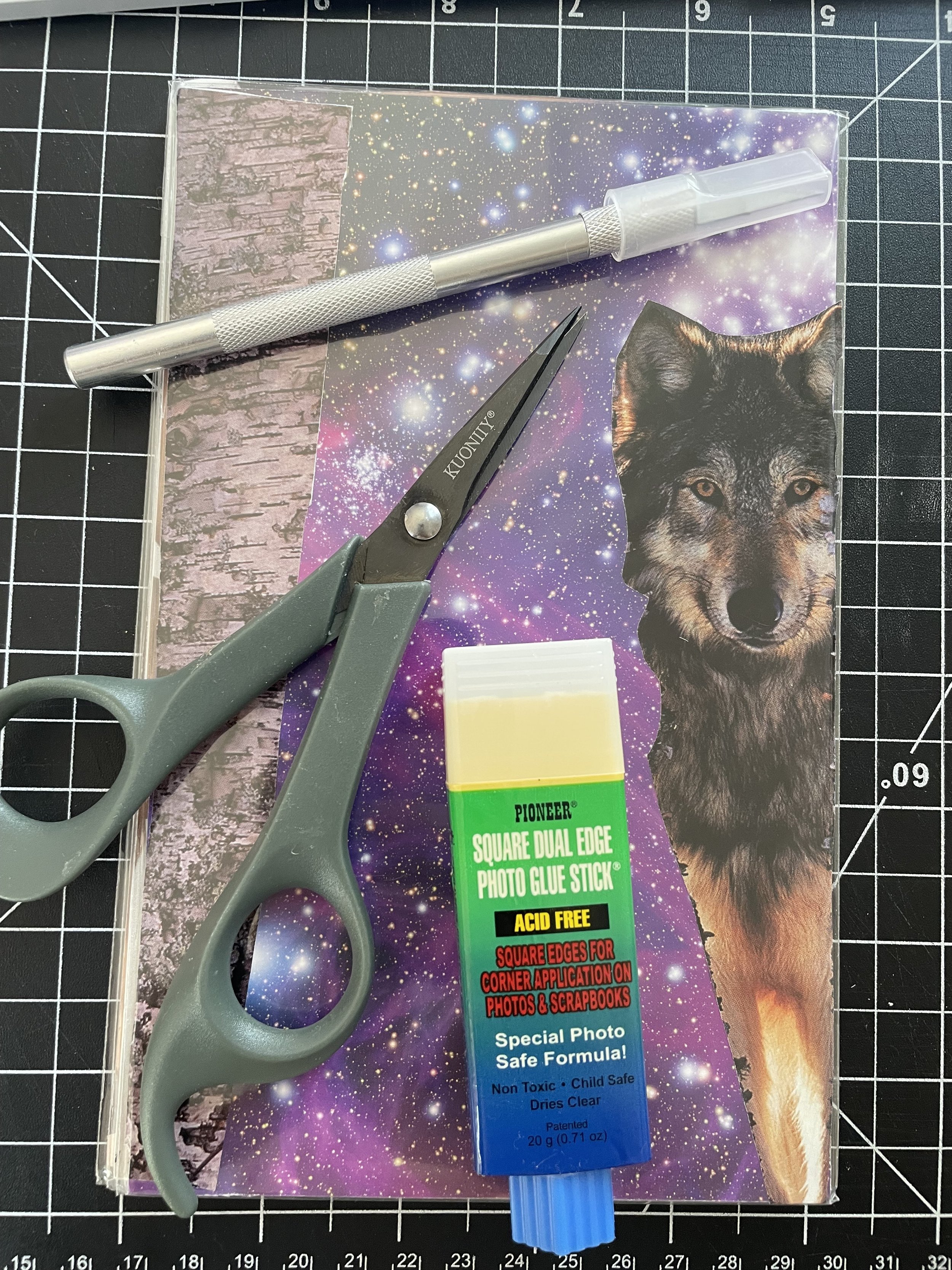 SoulCollage® Companion Animals