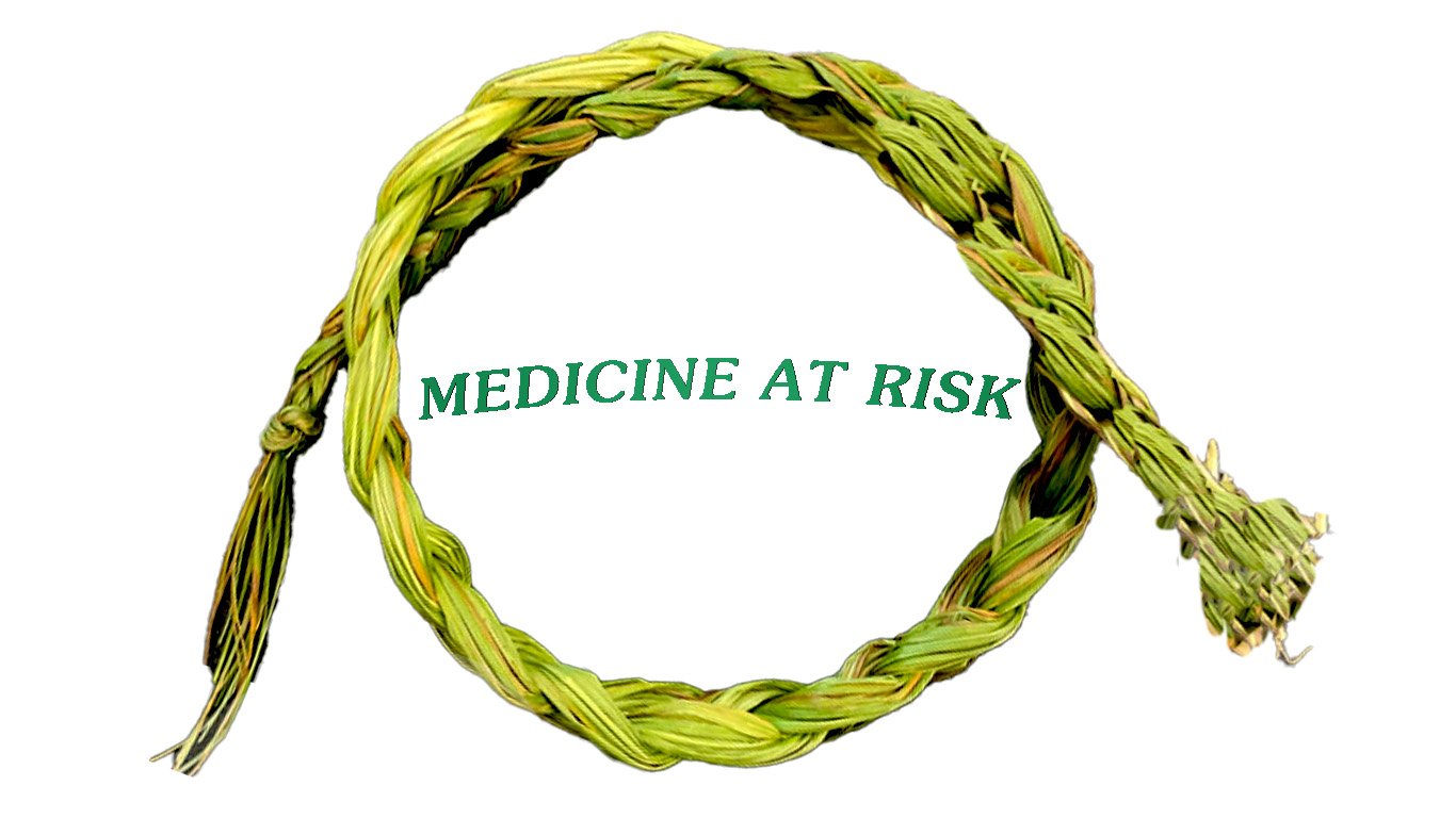 SPECIAL REPORT: Medicine at risk