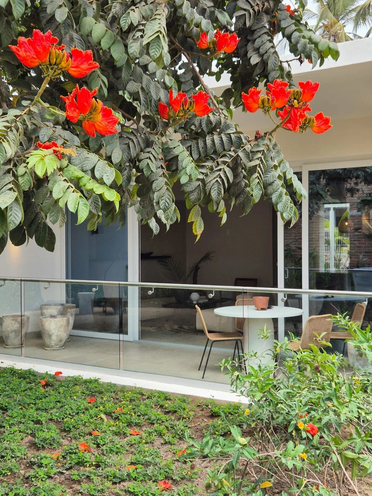 PHOTO-2024-03-20-21-38-25 2.jpg